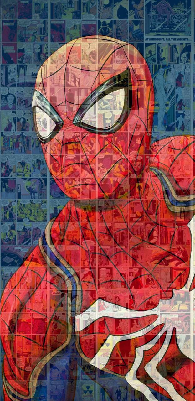 623x1280 Spider Man Comics Wallpaper