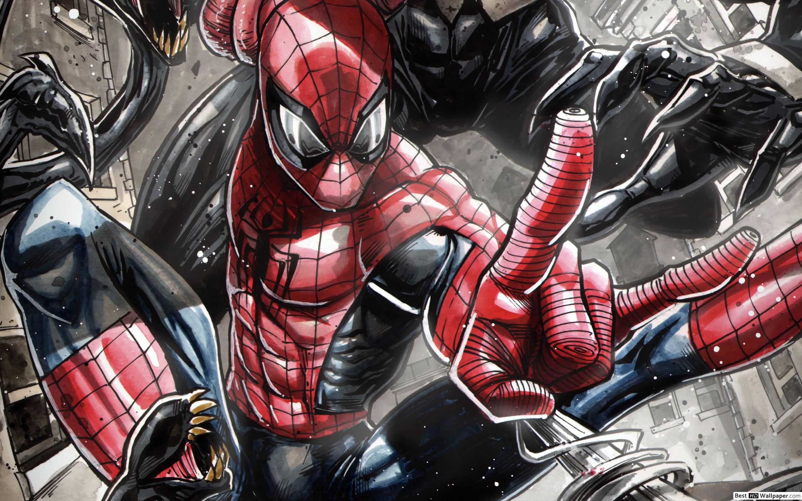 2560x1600 Marvel Spider Man Comics HD wallpaper download