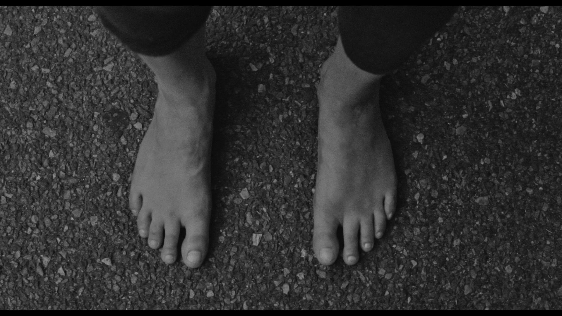 1920x1080 Frances Ha Blu Ray
