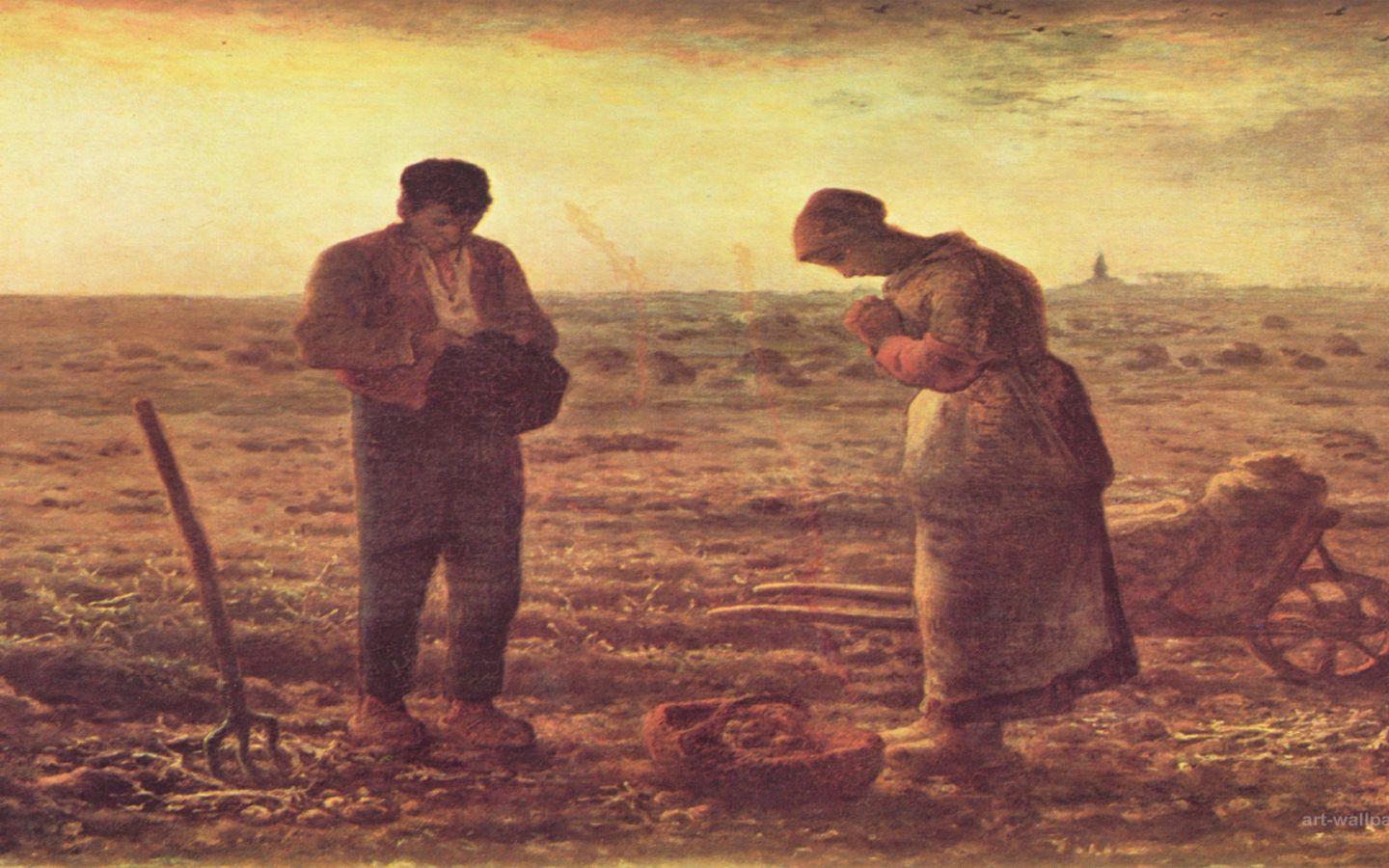 Millet Wallpapers - Top Free Millet Backgrounds - WallpaperAccess