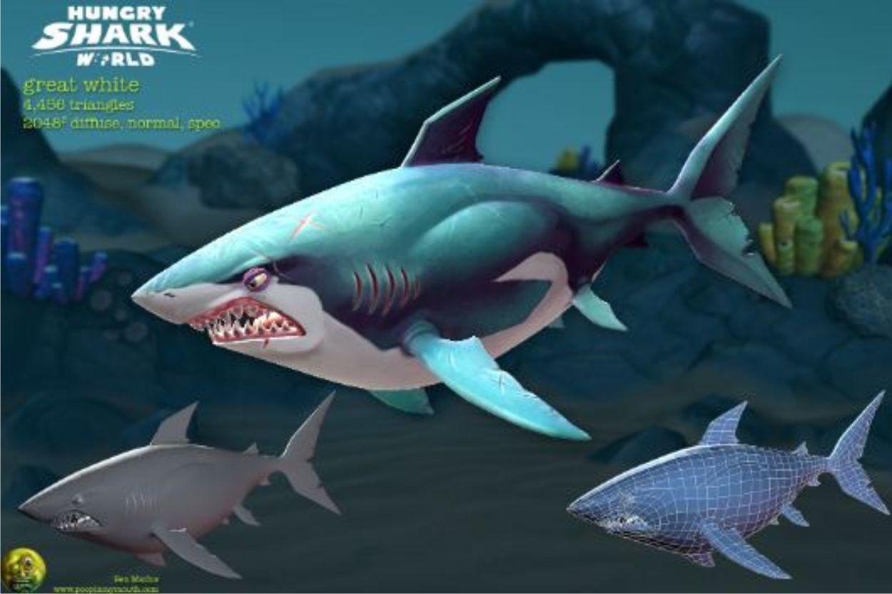 1250x833 Hungry Shark World Net
