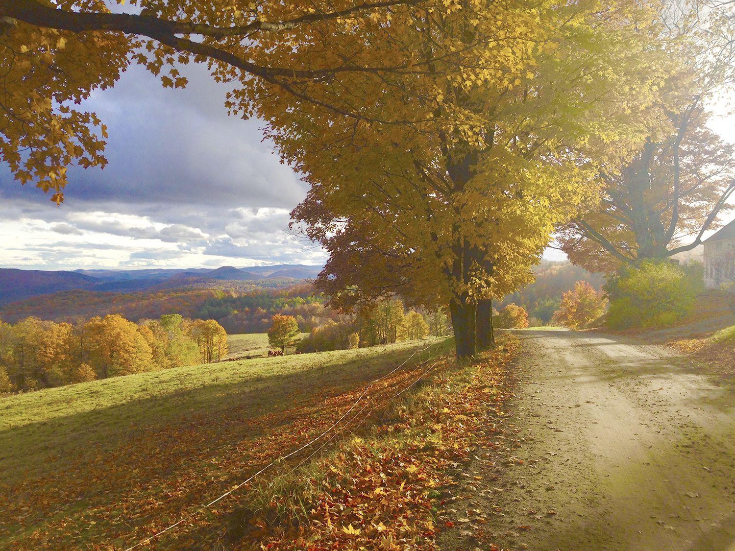 Vermont Fall Foliage Wallpapers Top Free Vermont Fall Foliage