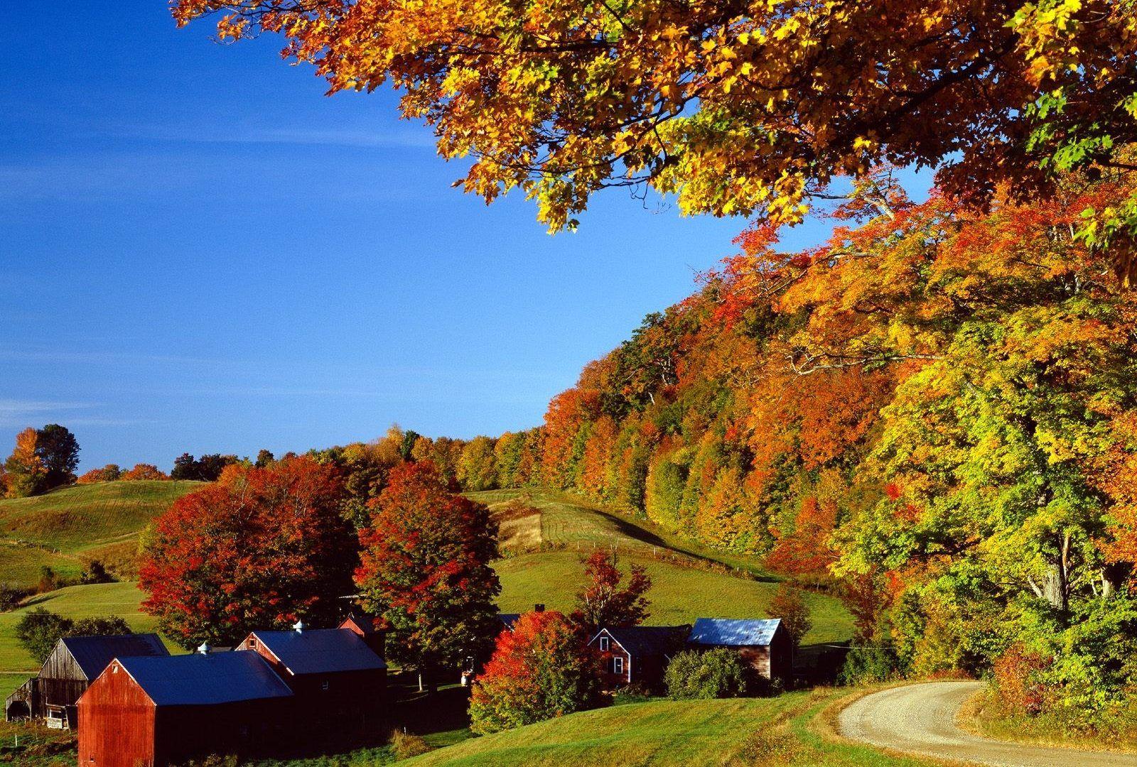 Vermont Fall Foliage Wallpapers - Top Free Vermont Fall Foliage ...