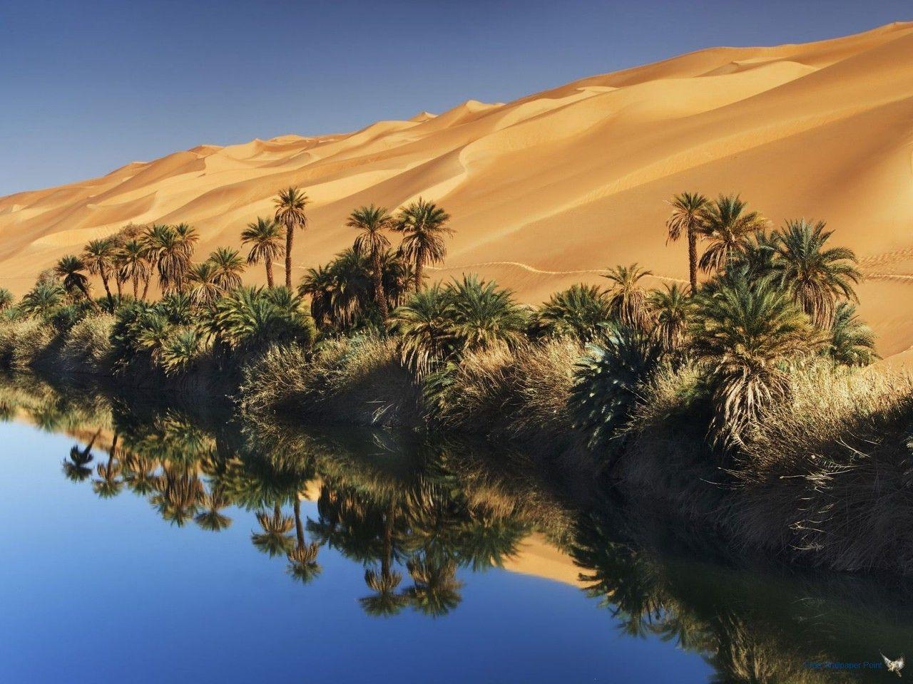 Great Desert Oasis Free Wallpaper in the year 2023 Learn more here 