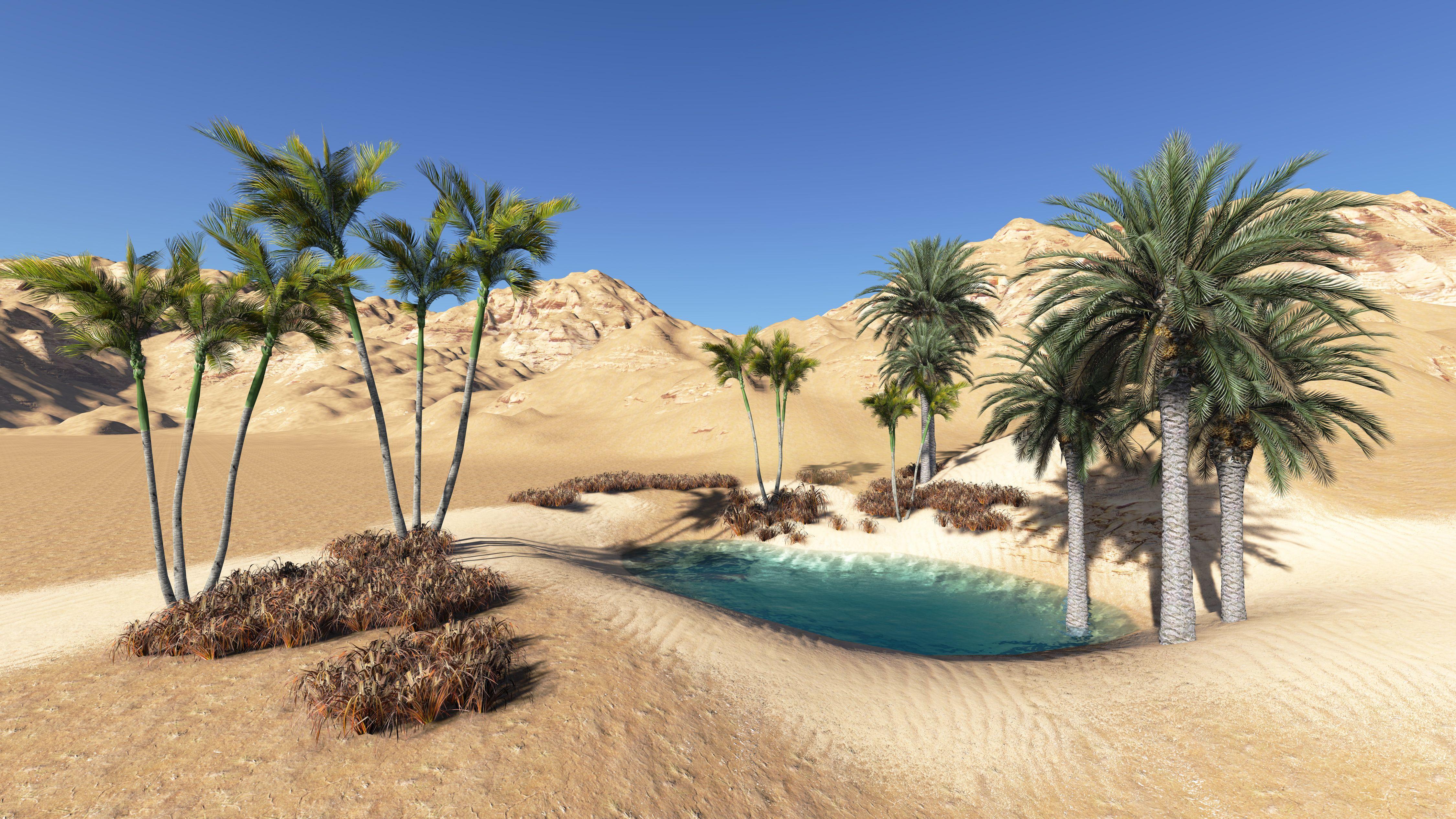 Desert Oasis Wallpapers Top Free Desert Oasis Backgrounds Desert Oasis Wallpapers Top Free Desert Oasis Backgrounds