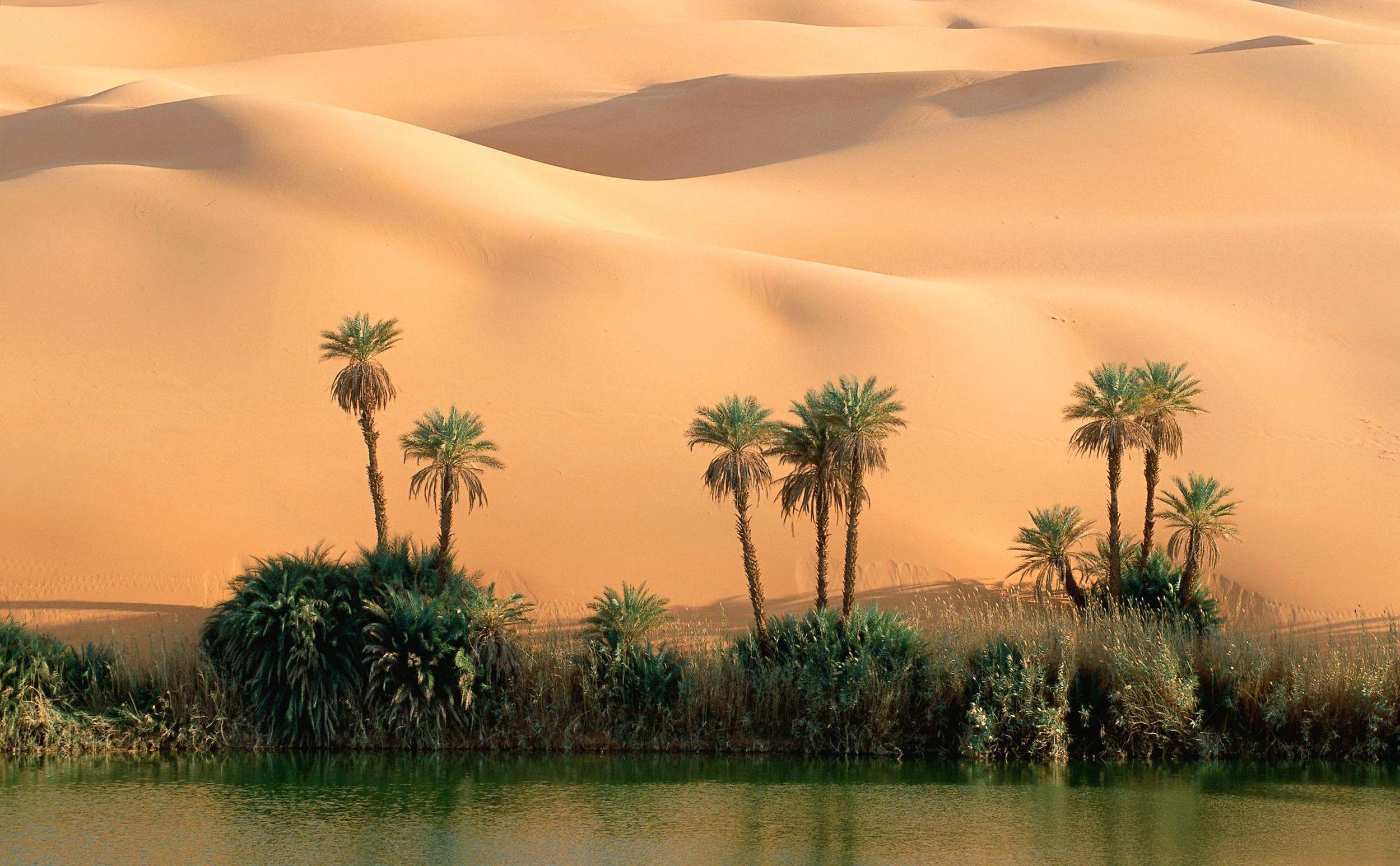 2499x1546 Cool Desert Oasis Wallpaper New Background