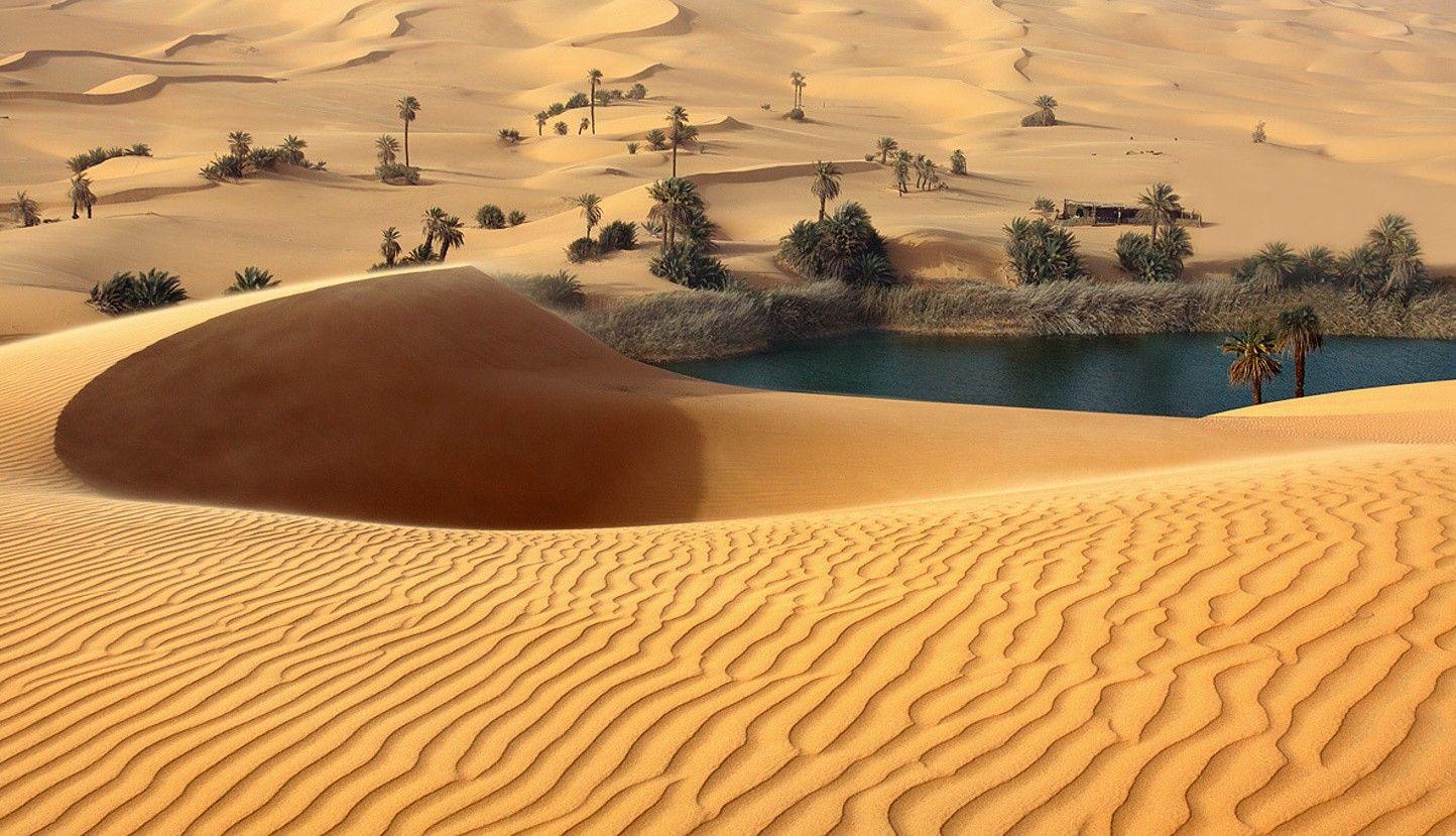 Дюна интересные факты. Оазис Убари Ливия. Пустыня Барханы Оазис. Пустыня сахара Оазис. Пустыня Каракум Оазис.