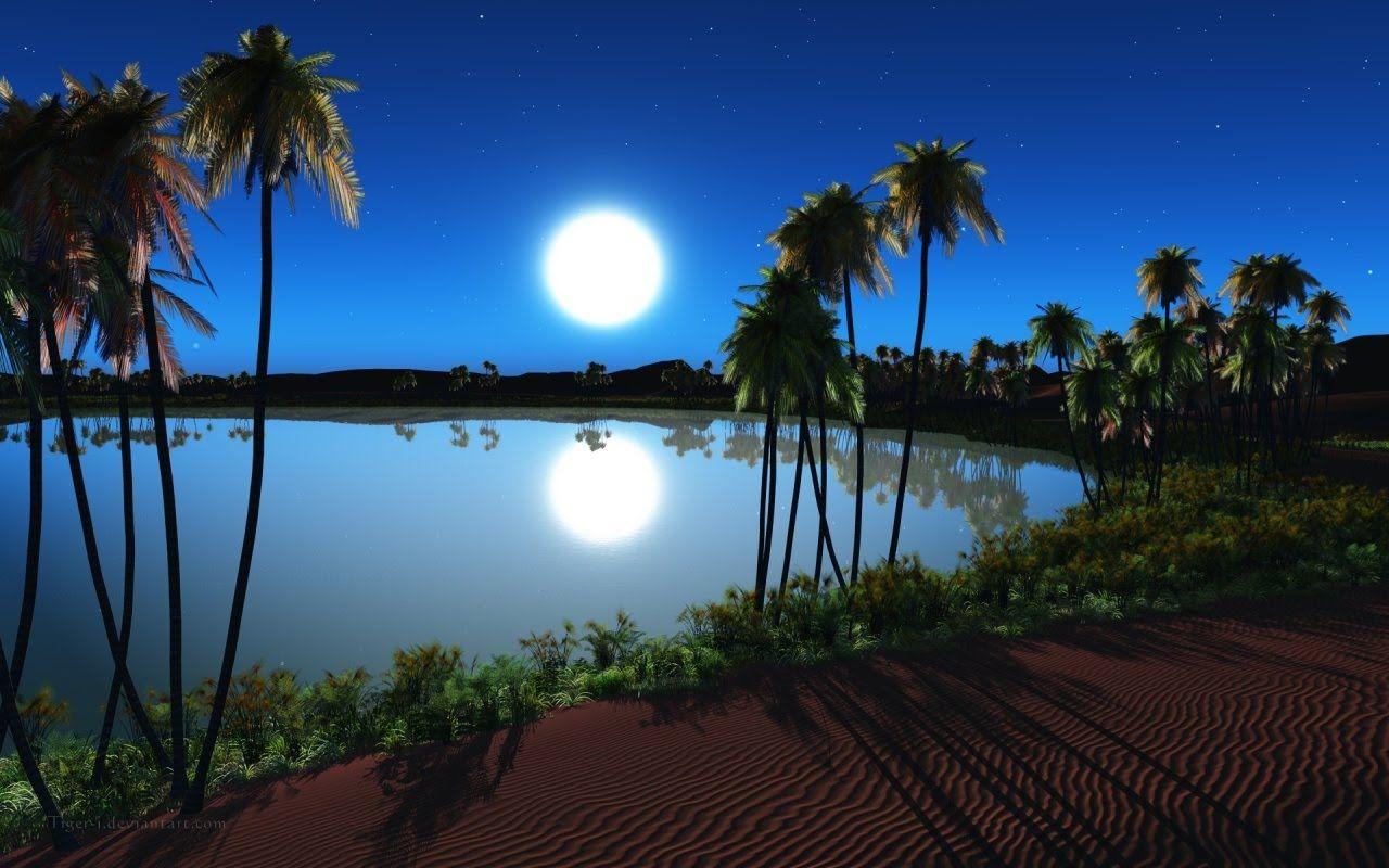 Desert Oasis Wallpapers Top Free Desert Oasis Backgrounds