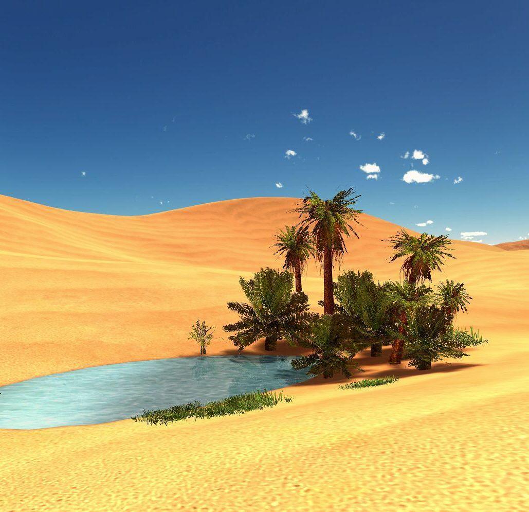 Collection 100 Pictures Images Of Oasis In Desert Updated