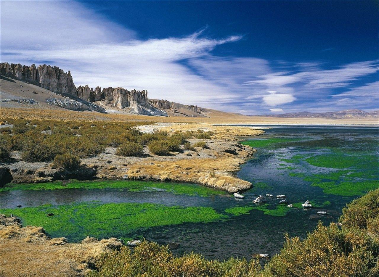 1280x936 Wallpaper Tagged With Oasis: Oasisi Water Tree Desert Oasis 3D