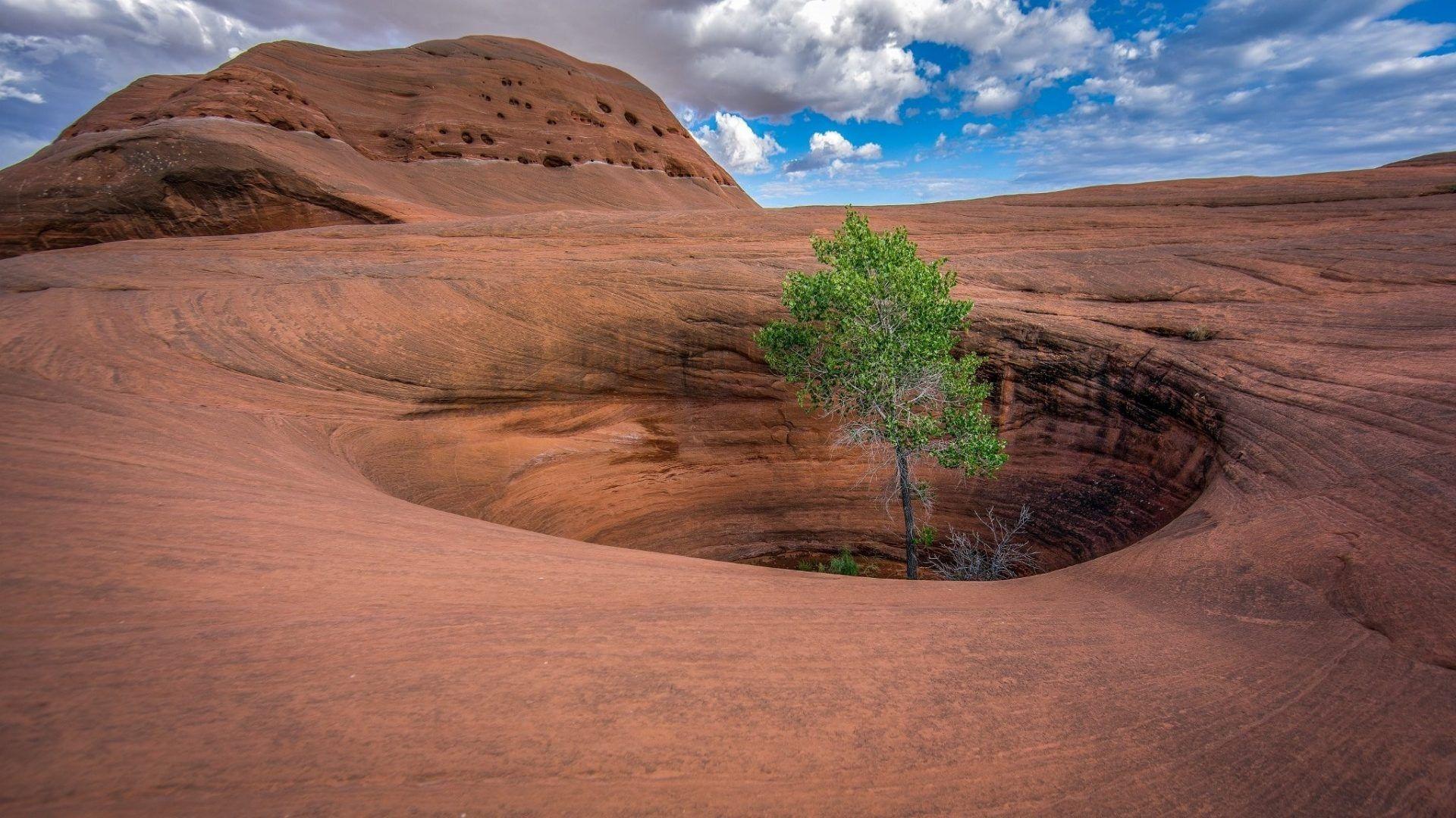 1920x1080 Oasis Tag wallpaper: Water Cgi Oasis Landscape Desert Free Nature