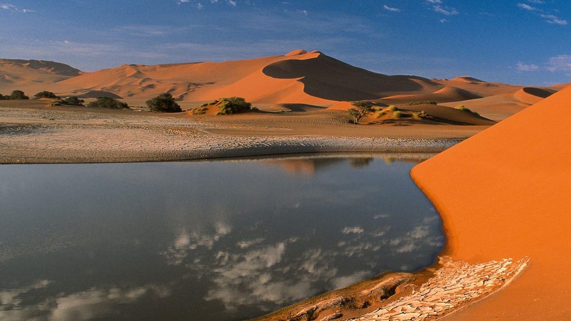 Река оазис. Пустыня сахара Оазис. Пустыня Каракум Оазис. Озеро Убари. Сахара Оазис Египет.