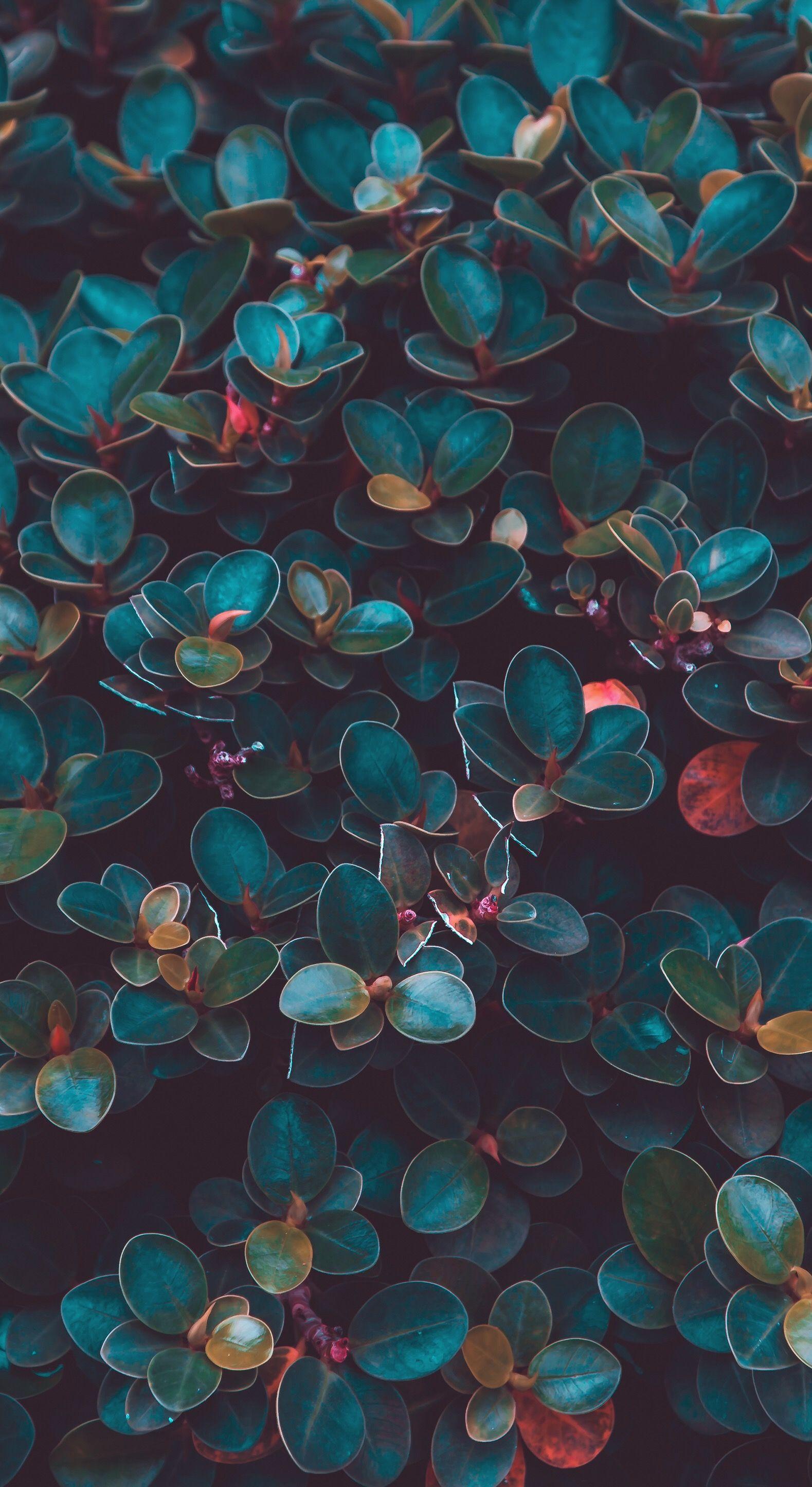 1579x2890 Planet Wallpaper Aesthetic