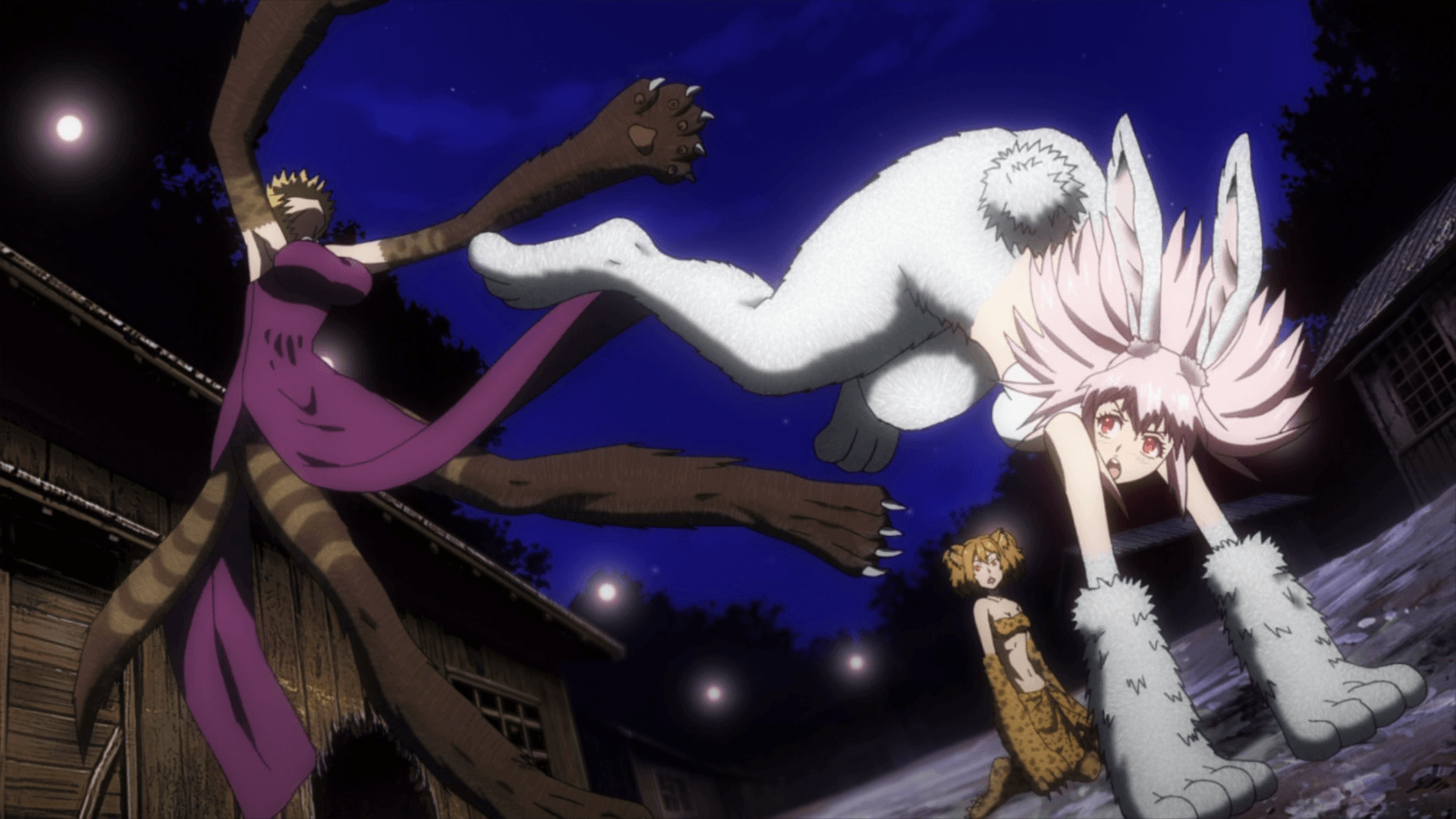 1920x1080 Brute Rabbit Vs. Brute Civet