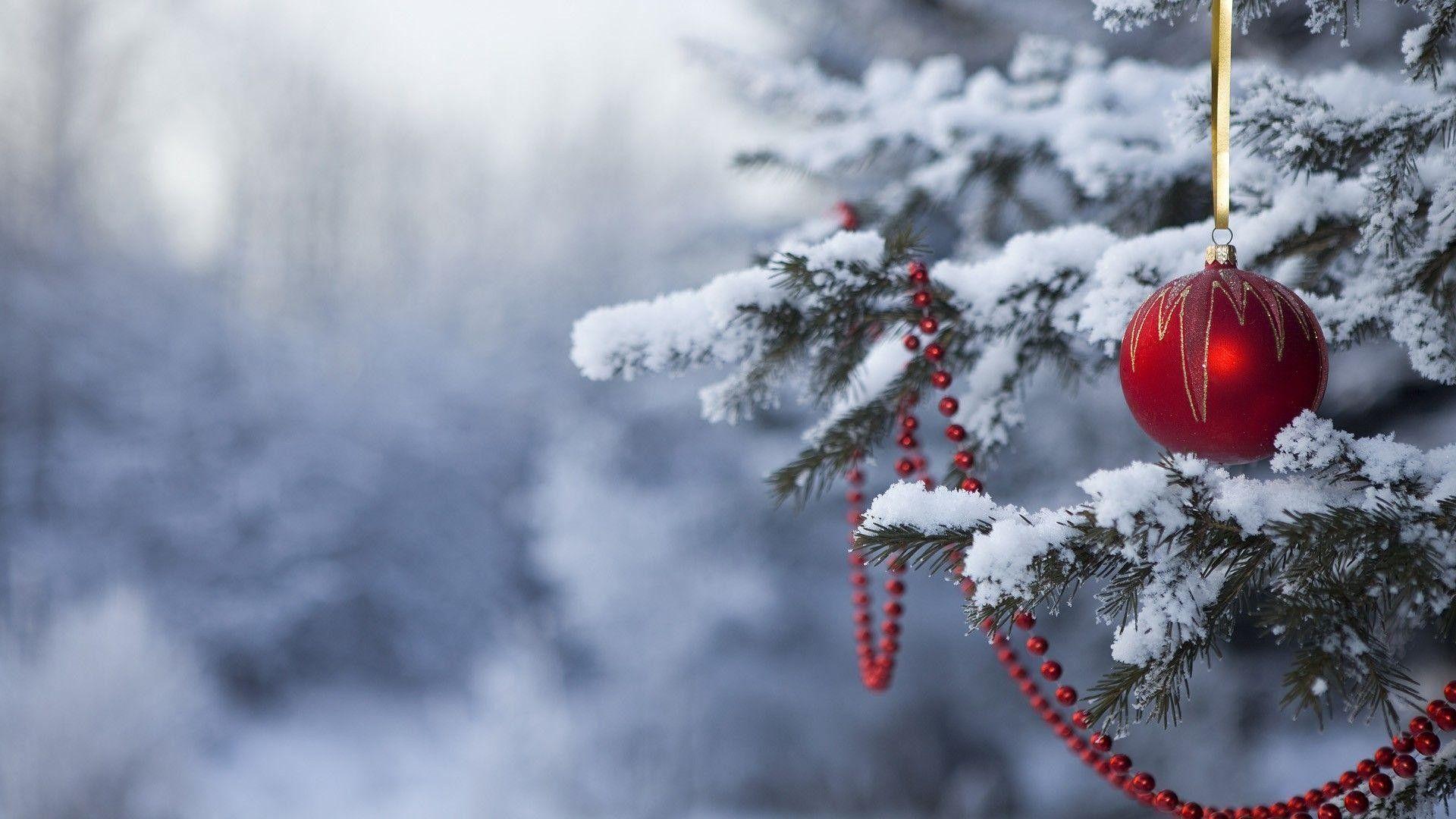 Giáng sinh sắp tới, hãy thay đổi hình nền máy tính của bạn để đón chào lễ hội đầy ấm áp này. Những bức hình về cây thông, hộp quà và tuyết rơi sẽ đem lại không gian Giáng sinh đặc trưng. Hãy cảm nhận cảm giác của mùa Giáng sinh ngay trên màn hình nhà bạn nhé.