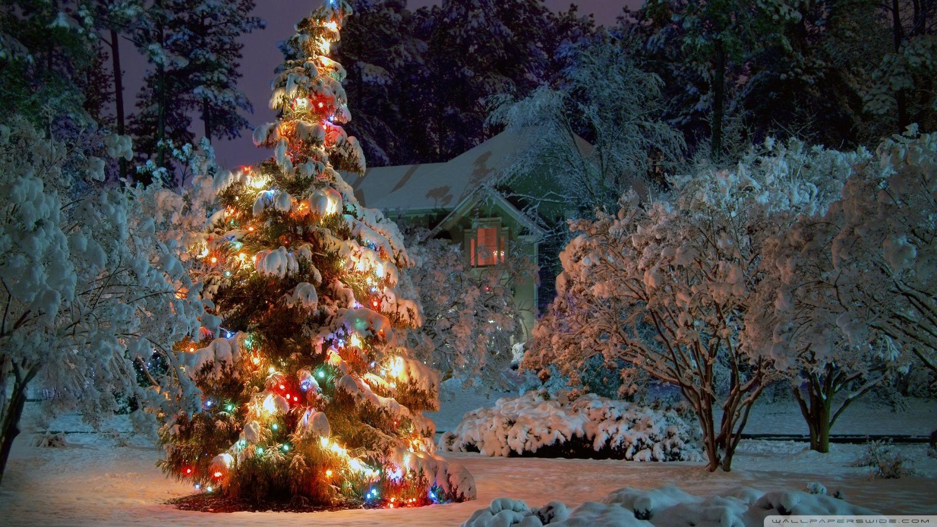 1920x1080 christmas at night wallpaper 1920x1080