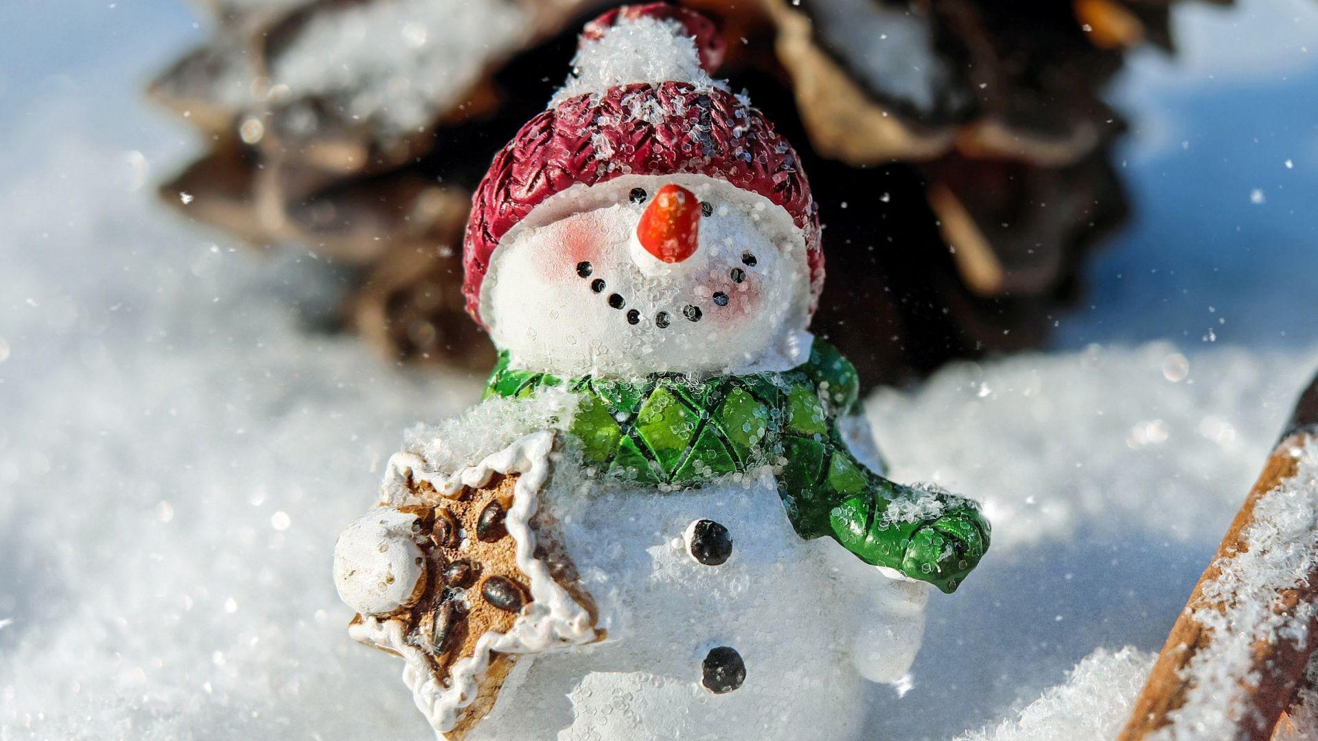 1920x1080 Download 1920x1080 wallpaper winter, snowman, funny, holiday, christmas, full hd, hdtv, fhd, 1080p, 1920x1080 HD image, background, 16048