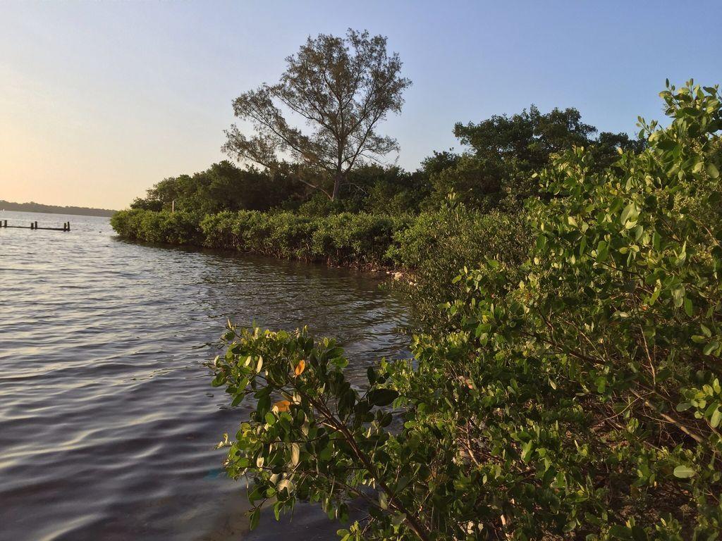 1024x768 Mangrove Cove Cottage 1 Key Vacation Rental. Florida Rental By Owners
