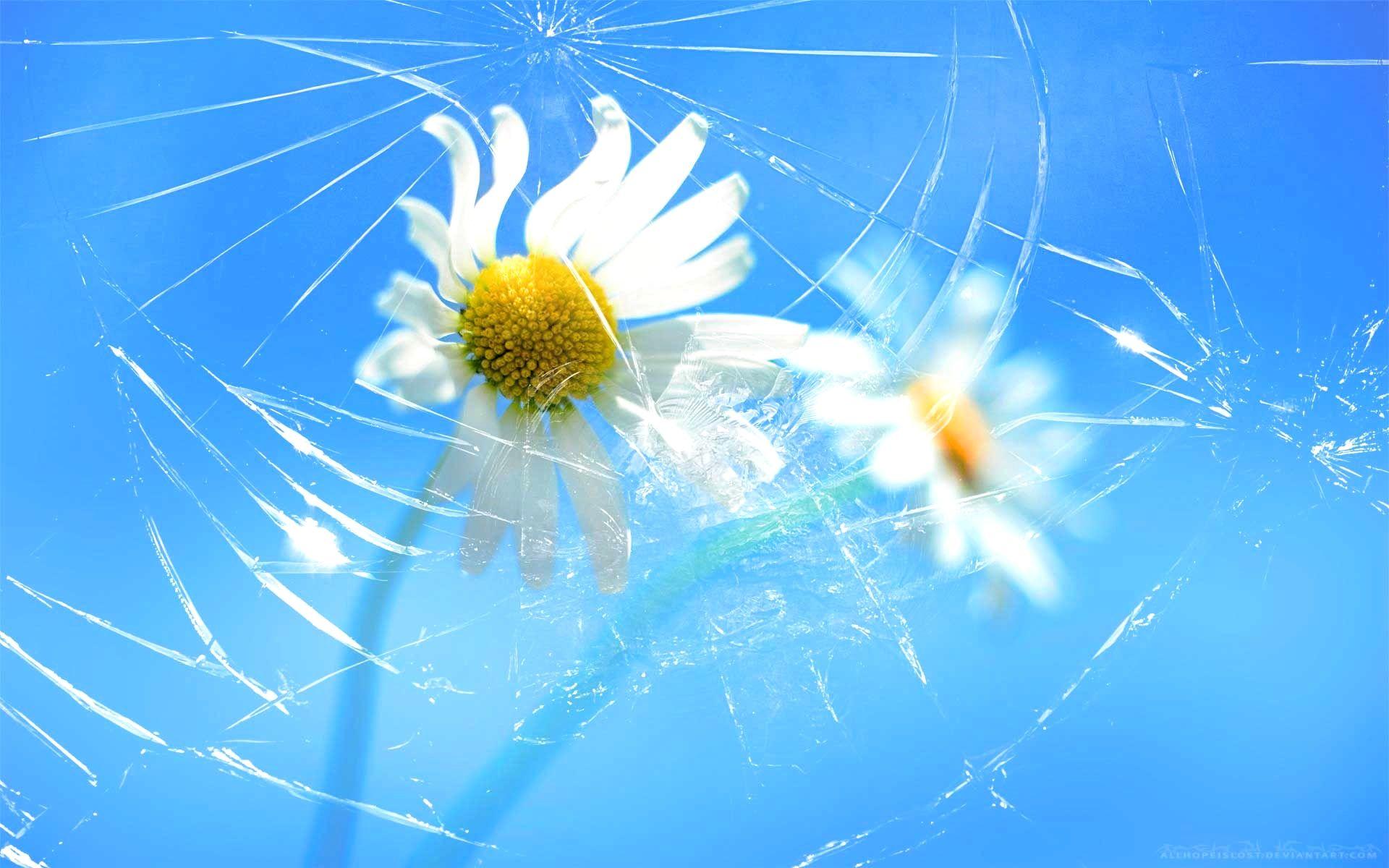 1920x1200 Broken Screen Wallpaper HD 2017 Android iPhone Windows 8.1 Background Flowers