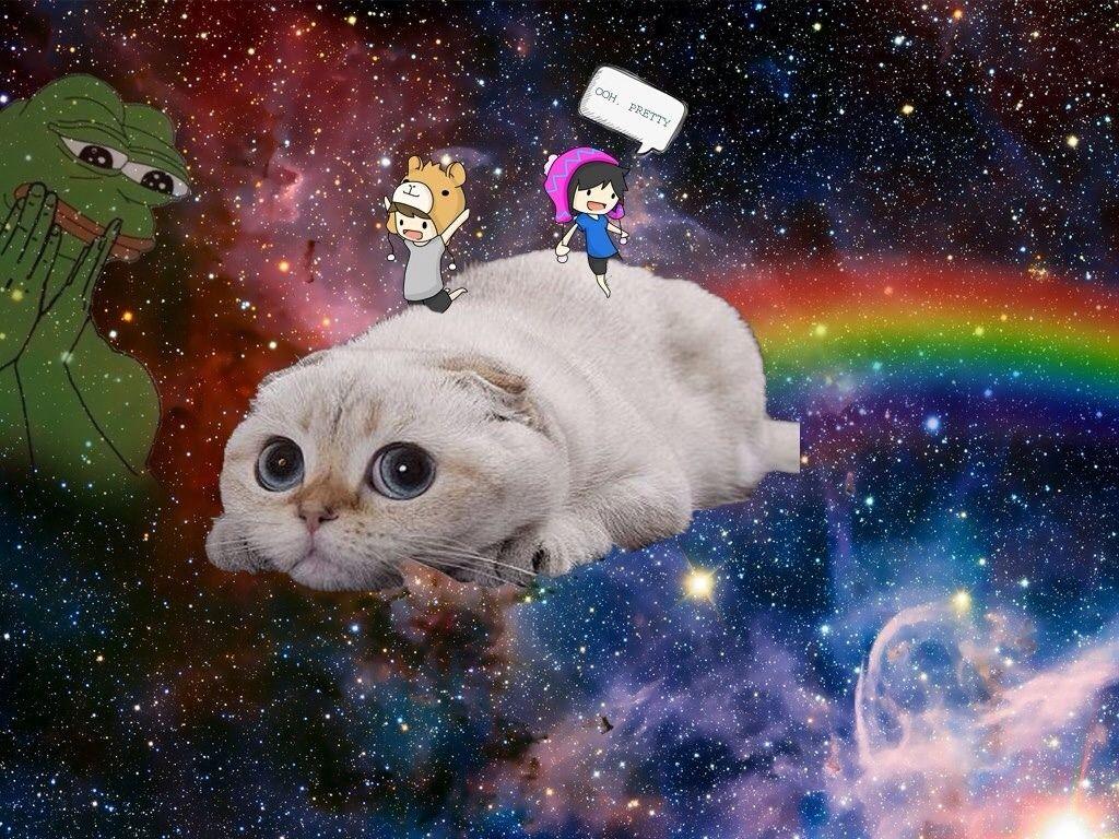 1024x768 Taco Cat Resolution Galaxy Nebula HD Wallpaper