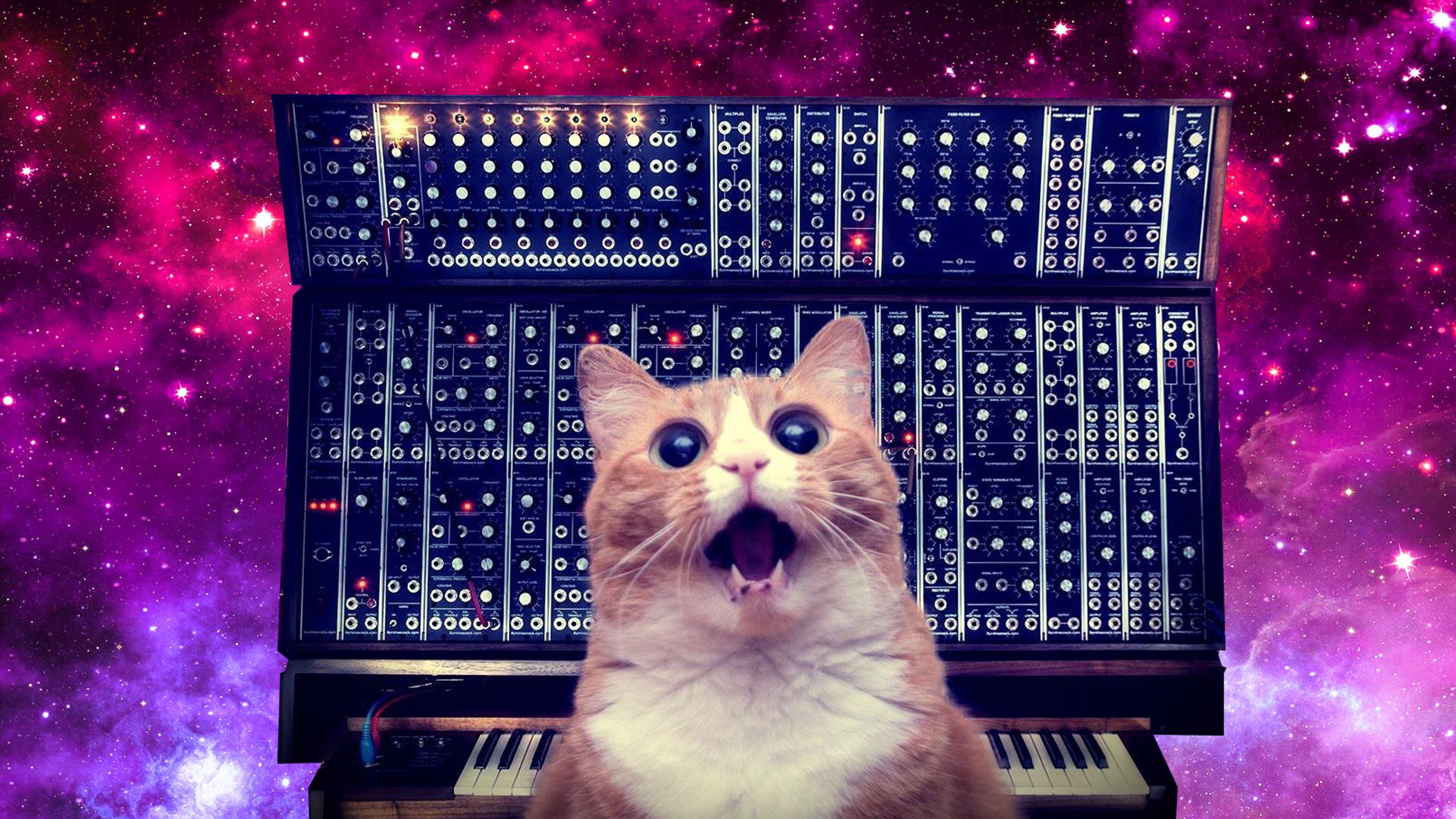 5120x2880 Moog Cat Nebula 4k WS Wallpaper