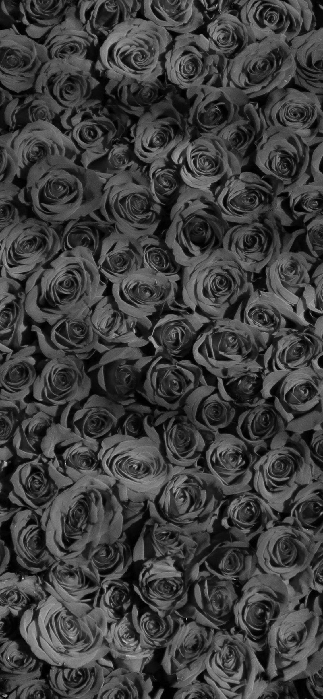 1125x2436 Rose Dark Bw Pattern iPhone X Wallpaper Free Download