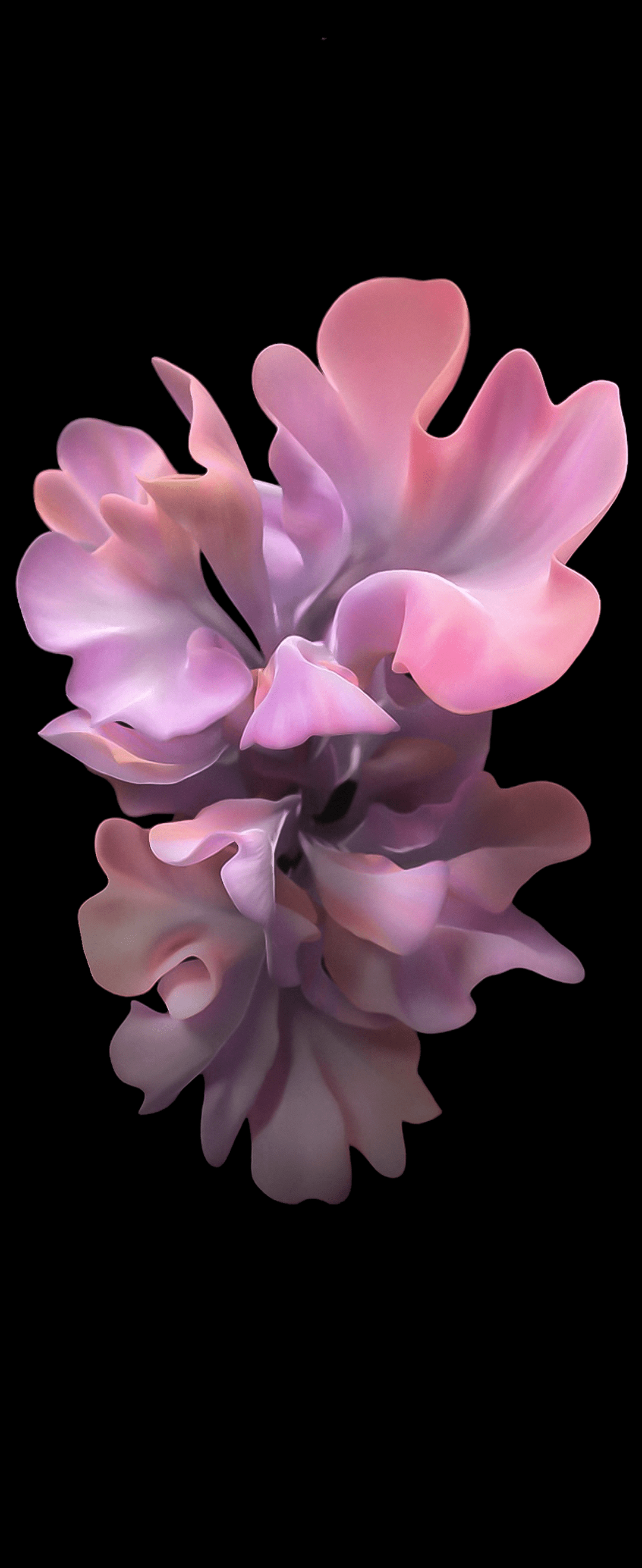 1080x2636 Download Galaxy Z Flip wallpaper and see your home screen 'bloom'