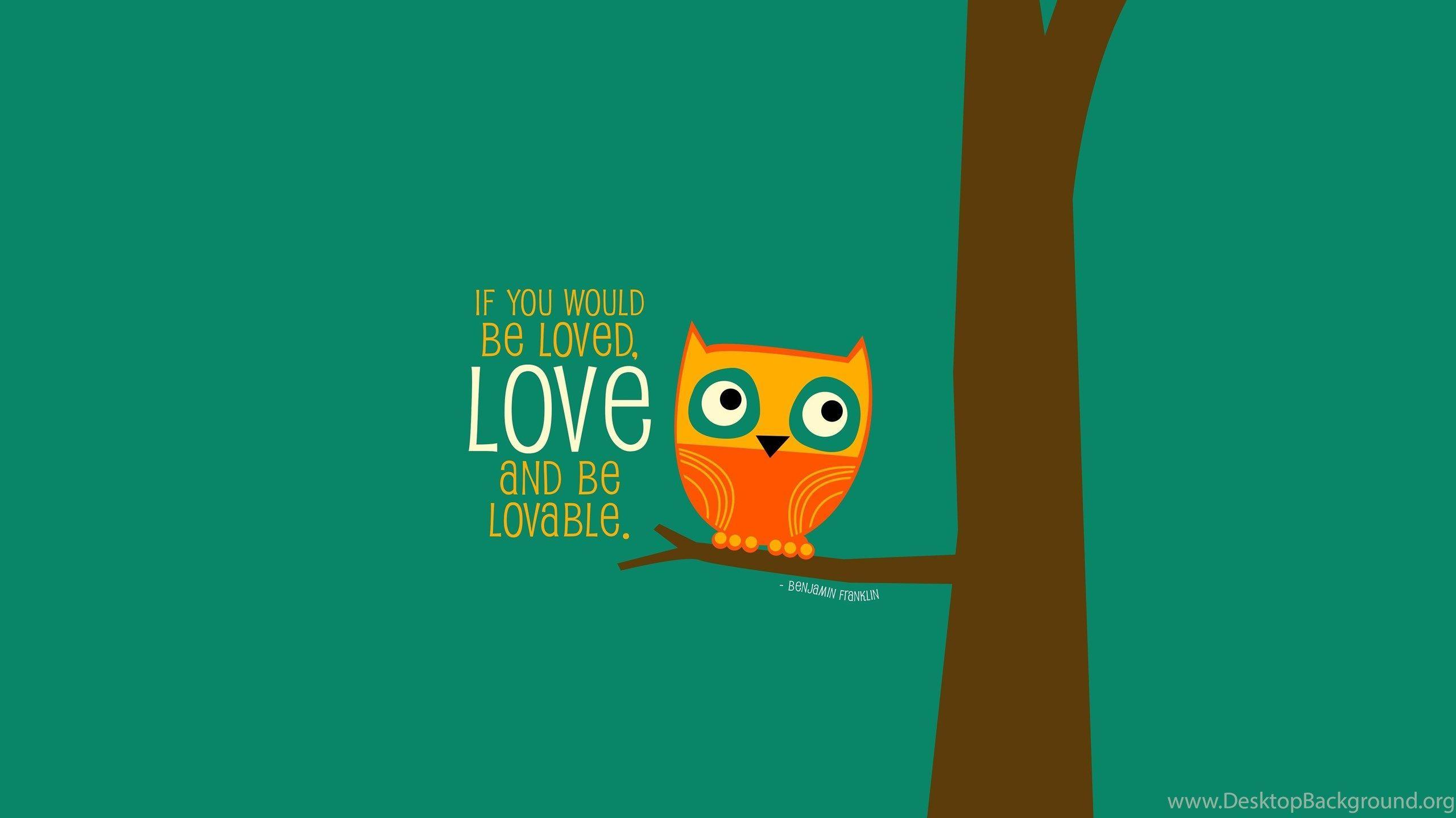 2560x1440 Cartoon Owls Wallpaper