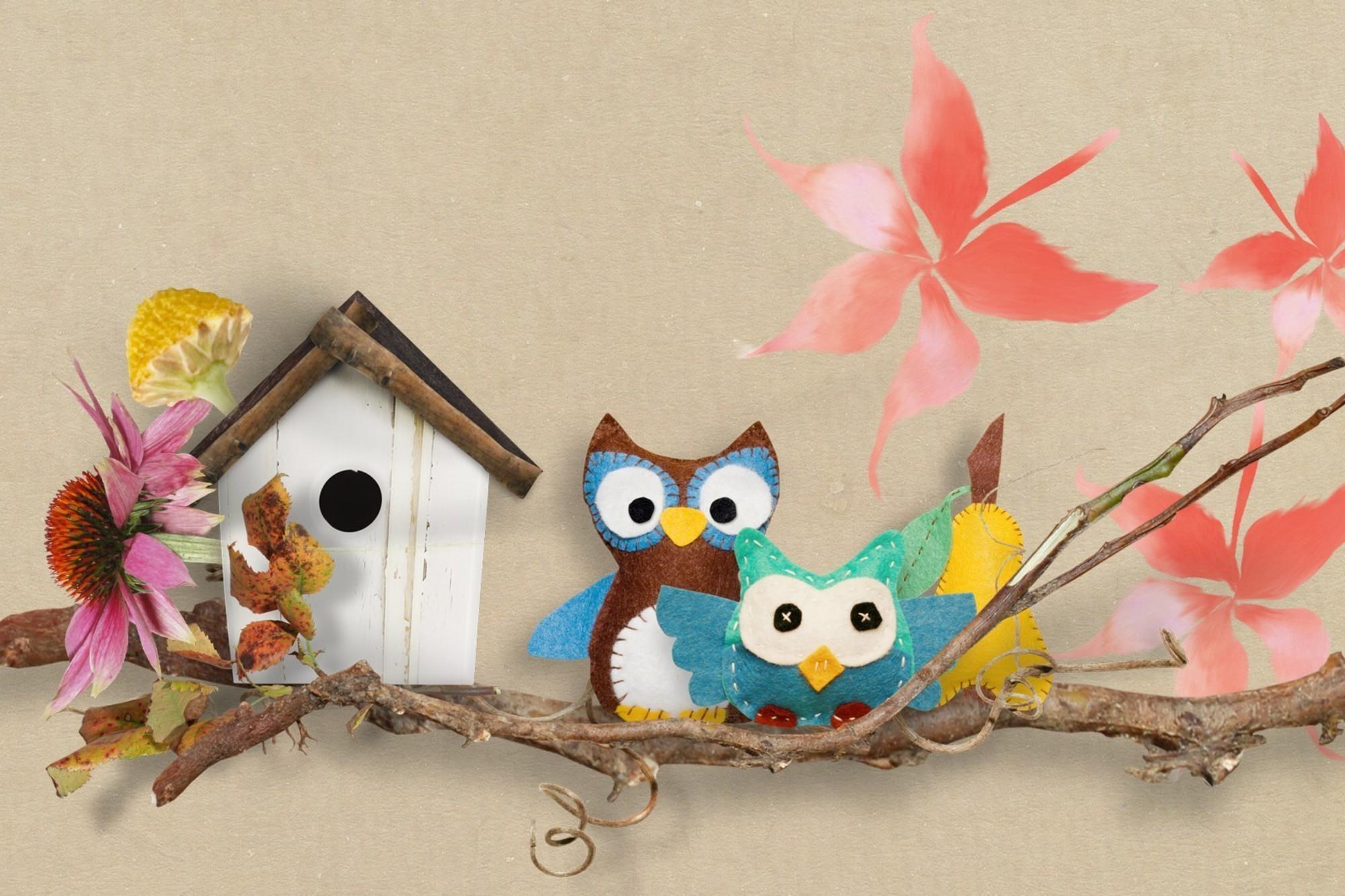 2000x1333 Cute Owl Desktop Wallpaper