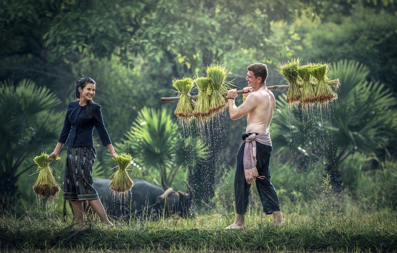 1332x850 Wallpaper girl, love, man, china, asian, valentine, countryside, happiness, chinese, oriental, asiatic, buffalo, horn, rice planting image for desktop, section настроения