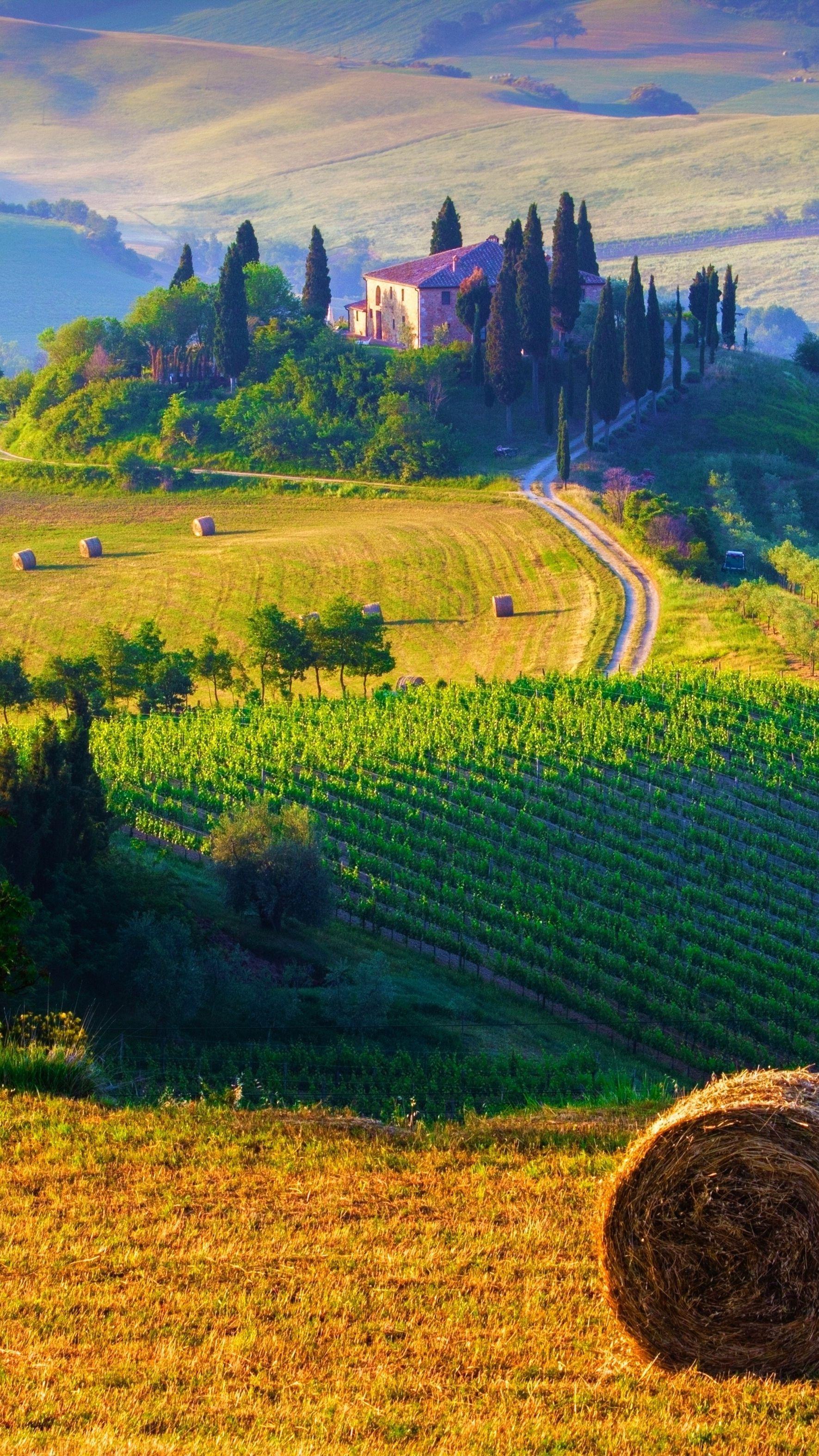 1771x3150 Tuscan Countryside Wallpaper