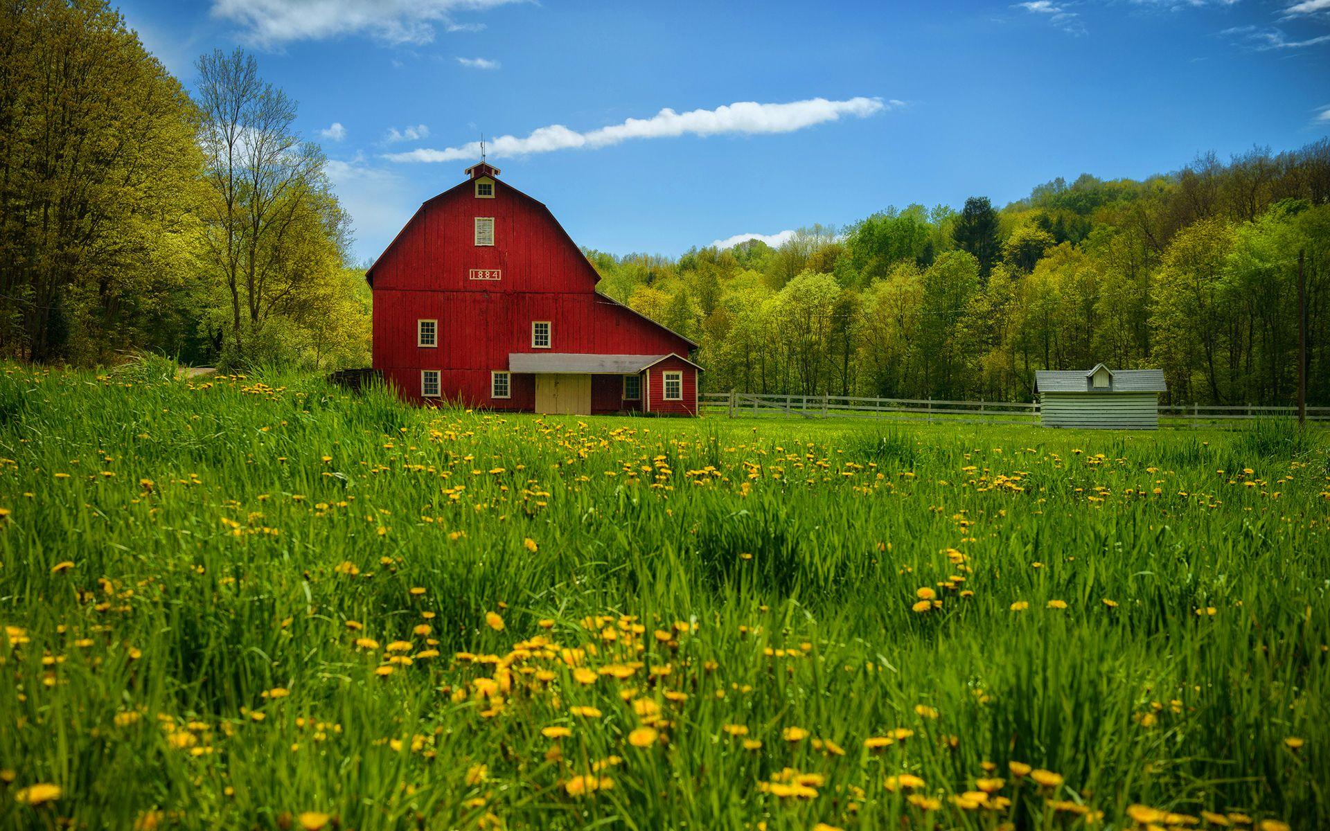 Summer Countryside Wallpapers - Top Free Summer Countryside Backgrounds 