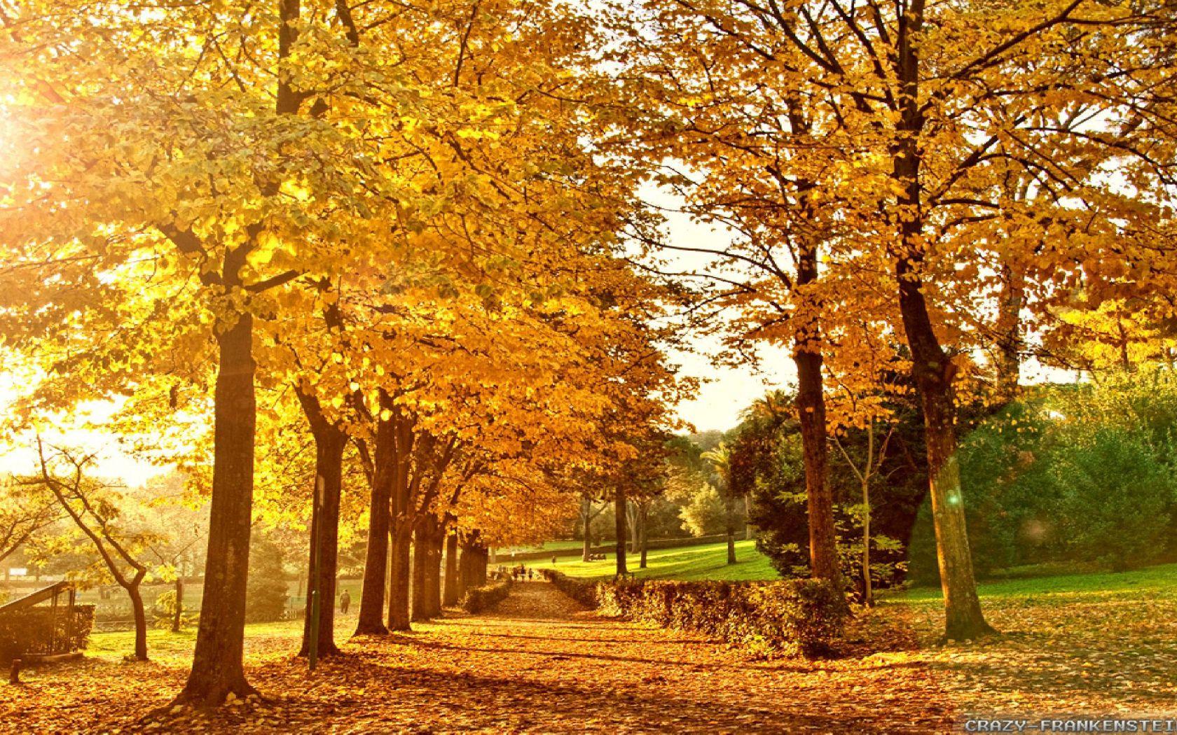 1680x1050 Free download Wallpaper Countryside Autumn In Italy Wallpaper Resolution Widescreen [2560x1440] for your Desktop, Mobile & Tablet. Explore Italy Countryside Wallpaper. Italy Countryside Wallpaper, Italy Wallpaper, Countryside Wallpaper