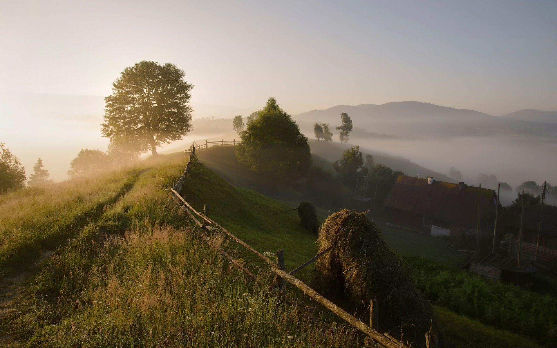 1920x1200 Wallpaper Carpathian mountains, trees, countryside, morning, fog, summer 1920x1200 HD Picture, Image