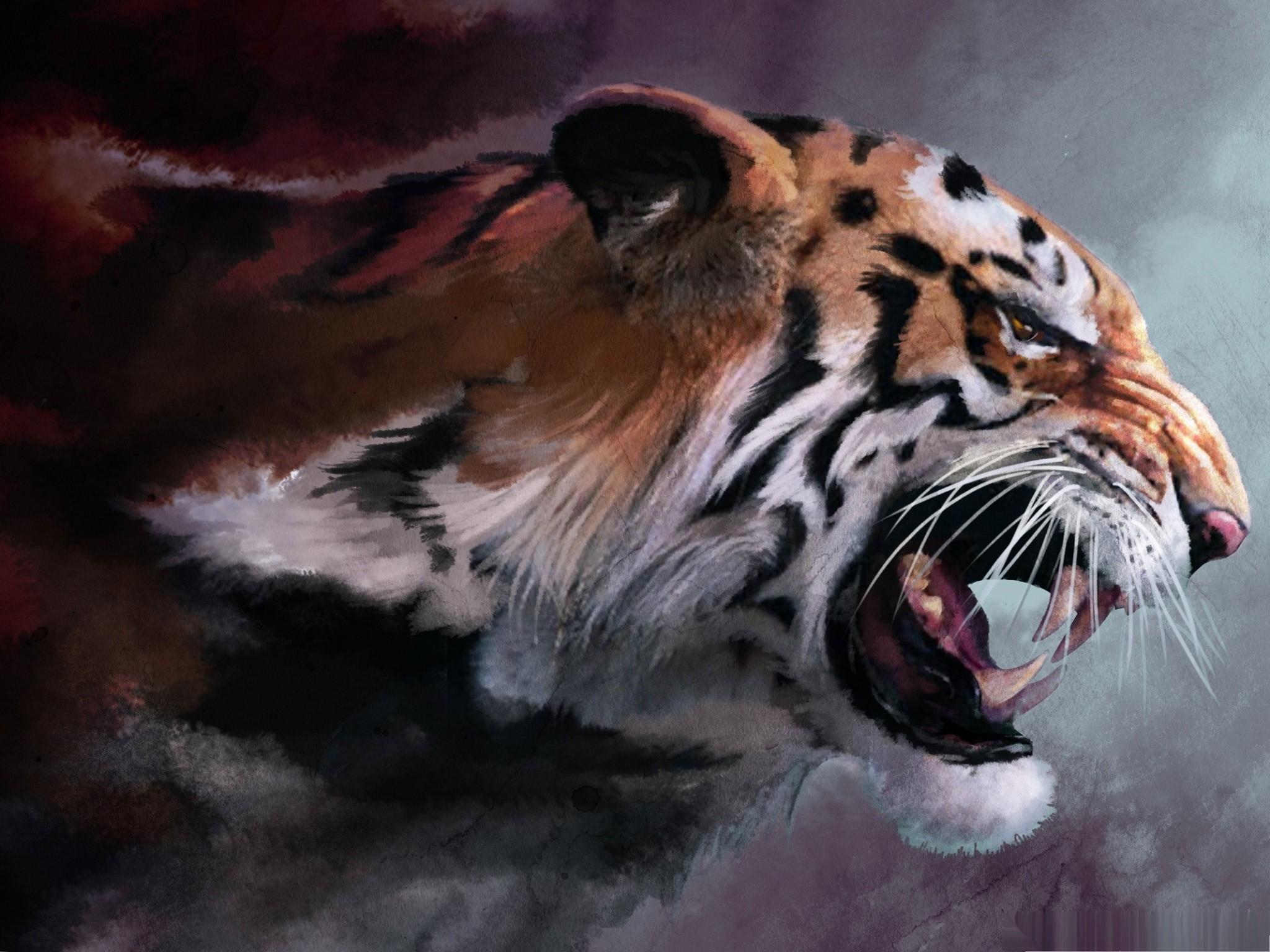 2048x1536 Cat Harimau Marah - Angry Tiger Wallpaper HD - Tải xuống hình nền & hình nền HD