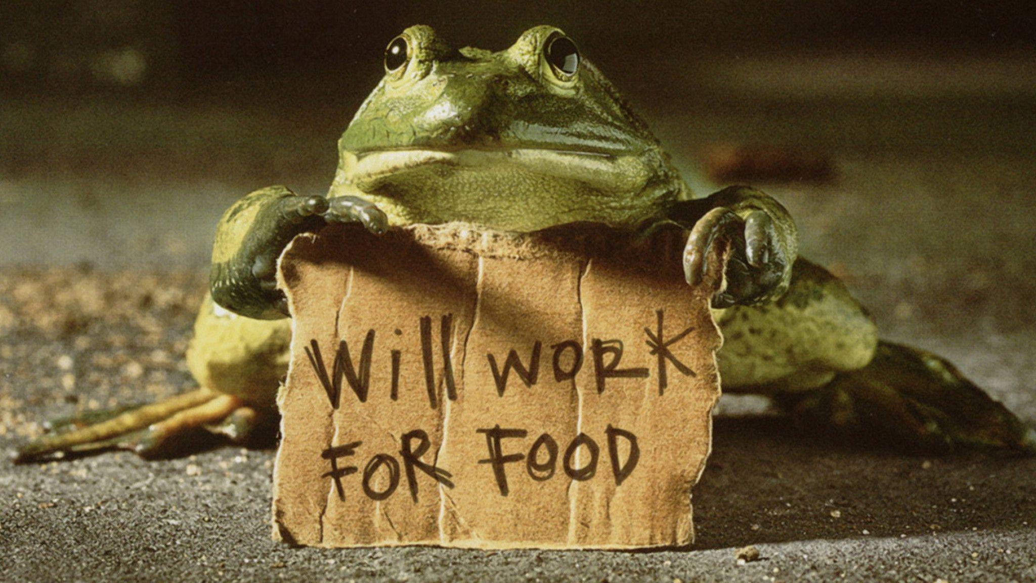 2048x1152 Free download 3D Funny Frog Will Get Job Wallpaper 15667 Wallpaper Best [ 2048x1152] for your Desktop, Mobile & Tablet. Explore Pagalworld Funny Wallpaper. Funny Wallpaper Image, Funny Wallpaper Hd