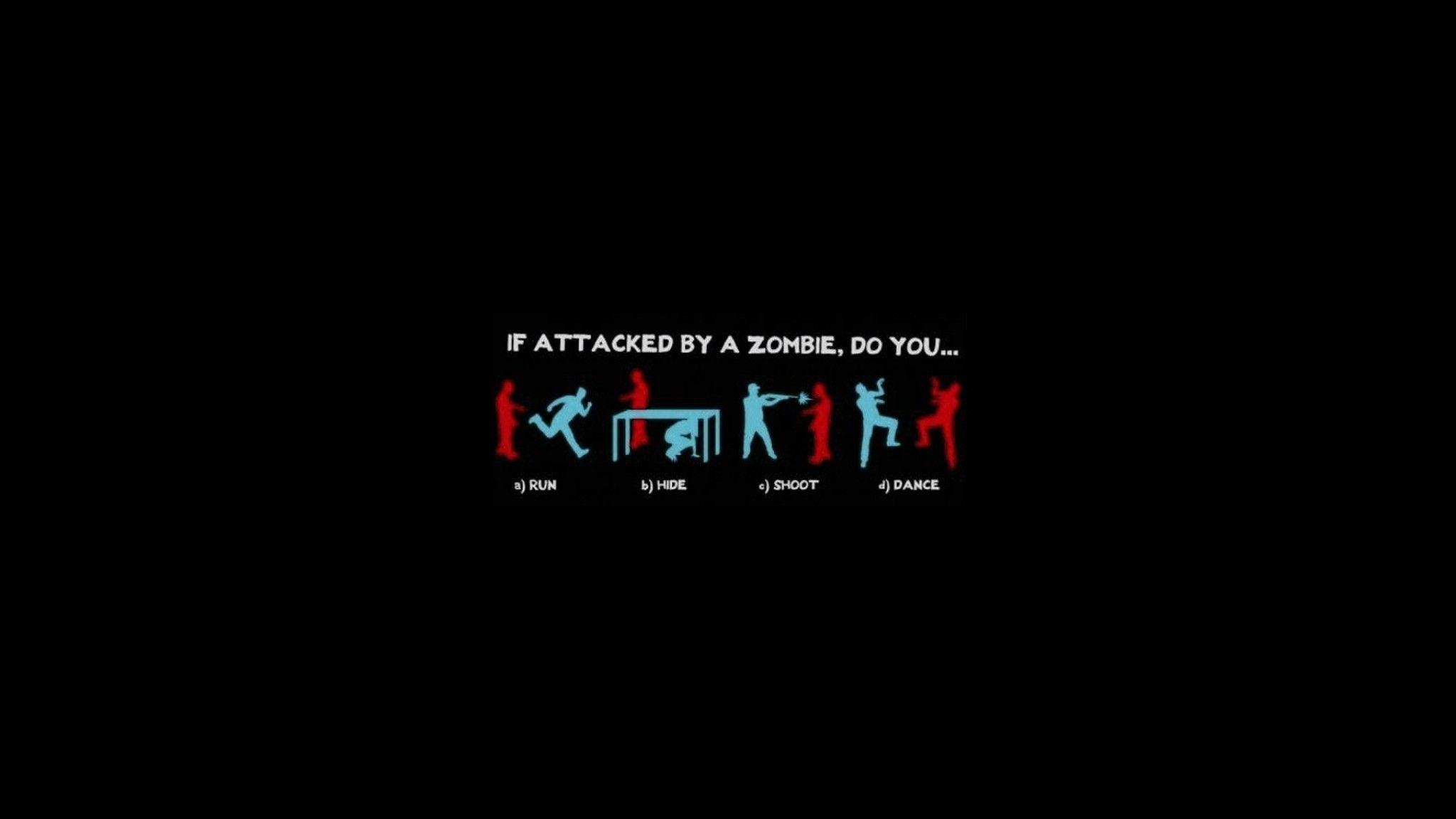 2048X1152 Funny Wallpapers - Top Free 2048X1152 Funny Backgrounds