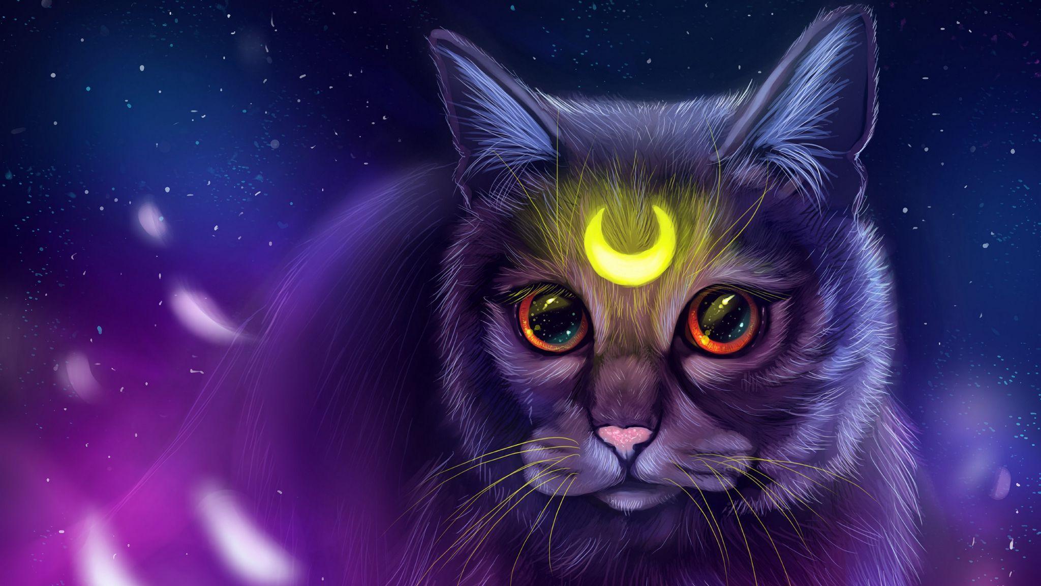 2048X1152 Cat Wallpapers - Top Free 2048X1152 Cat Backgrounds ...