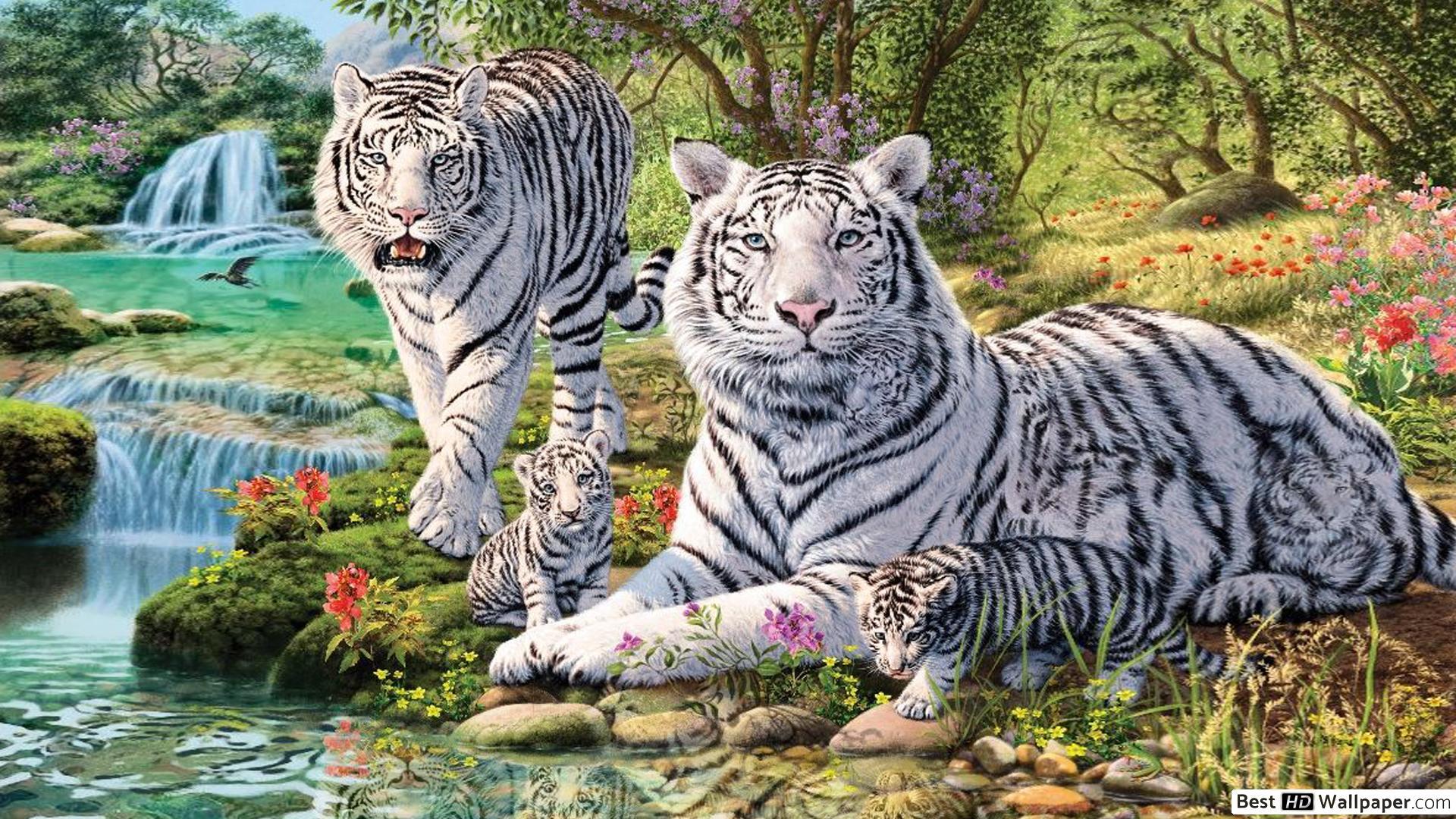 Download Tiger Ferocious Predator Royalty-Free Stock Illustration Image -  Pixabay