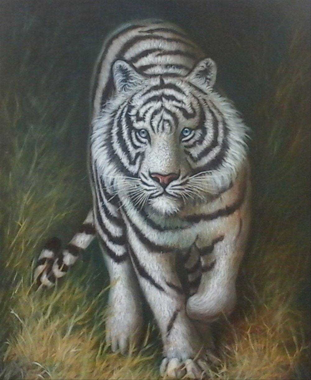 1000x1221 Lukisan Harimau Putih