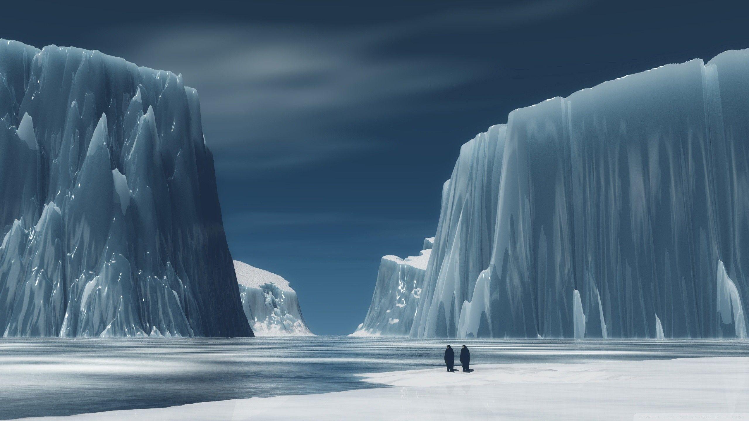 2560x1440 Antarctica Wallpaper