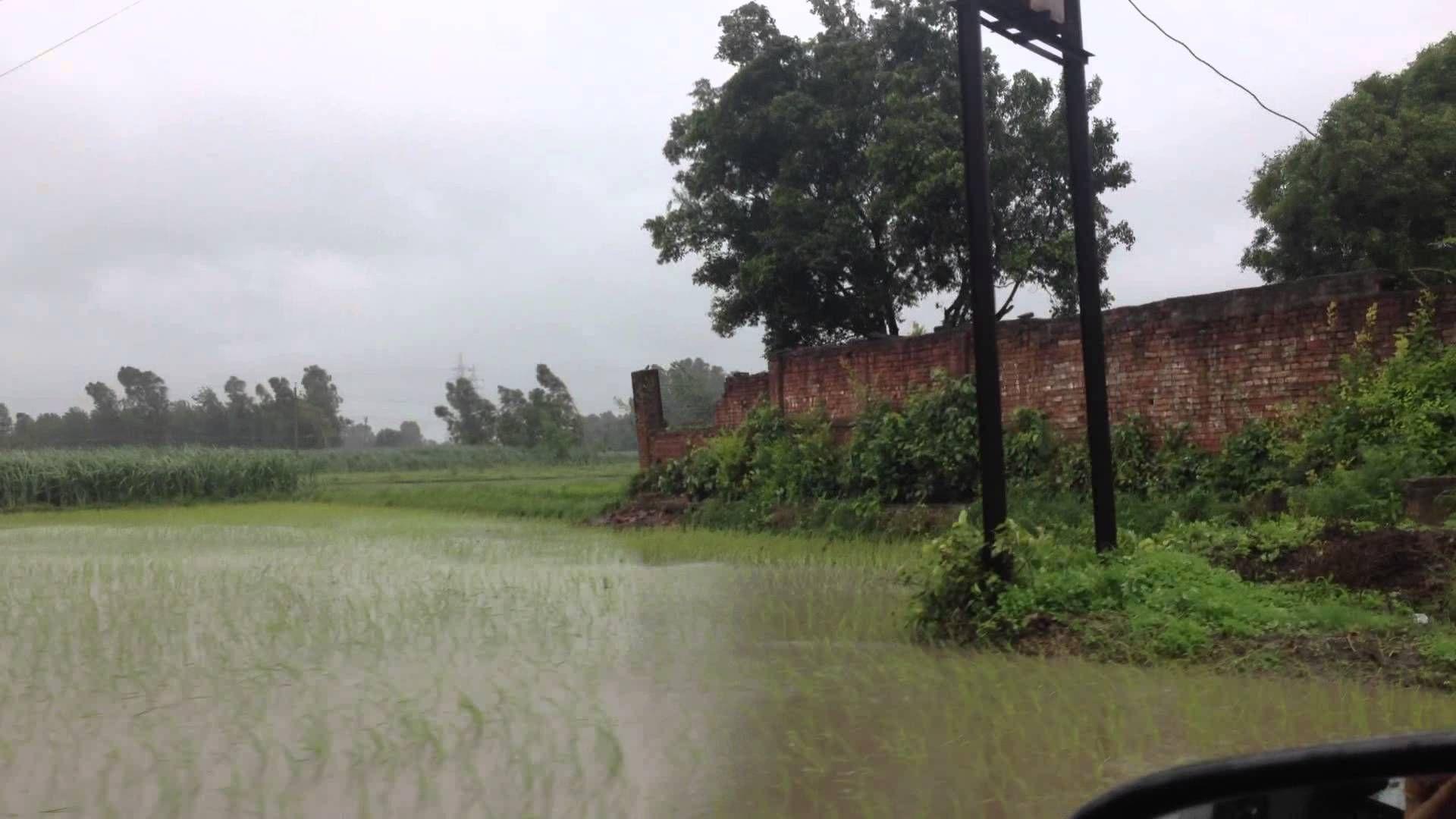 1920x1080 Monsoon Rain in Indian Village Mawana Dhikoli. Rain wallpaper, Landscape, Background image
