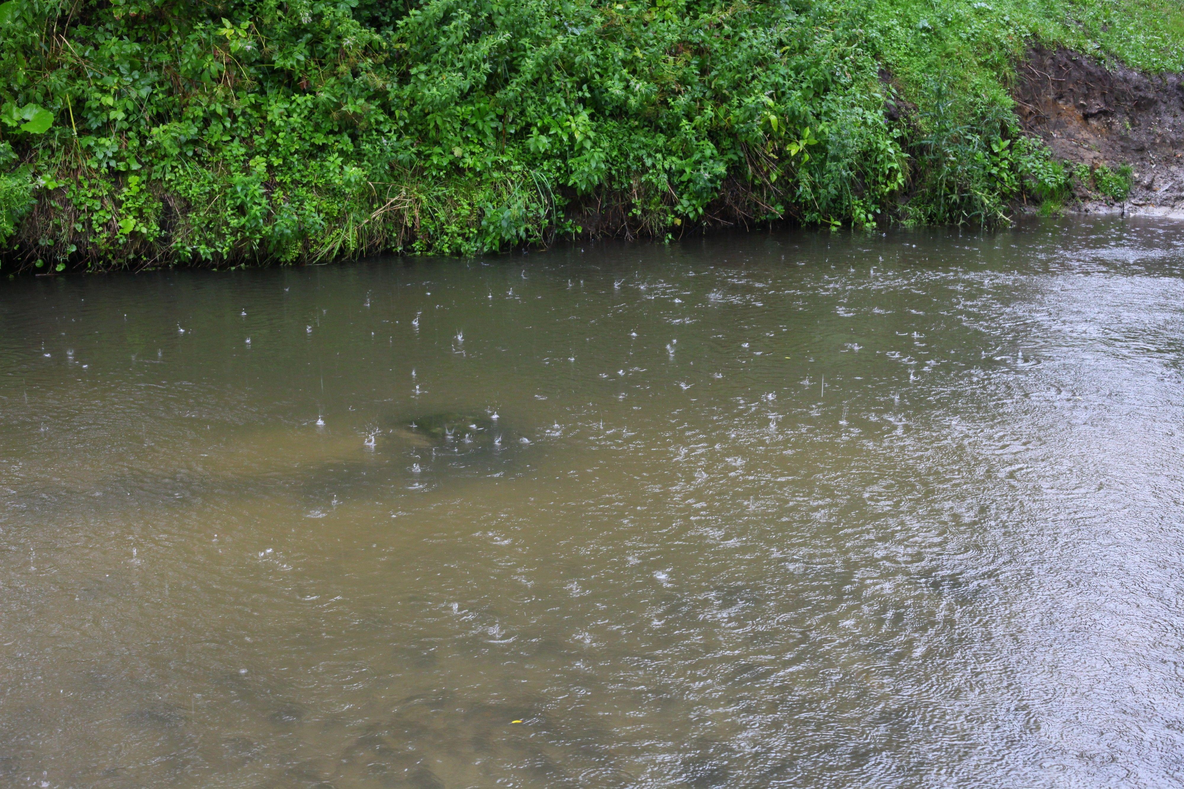 4000x2666 Photo of Raining over Zubra river in Brodky village, about 30 km from Lviv, Ukraine