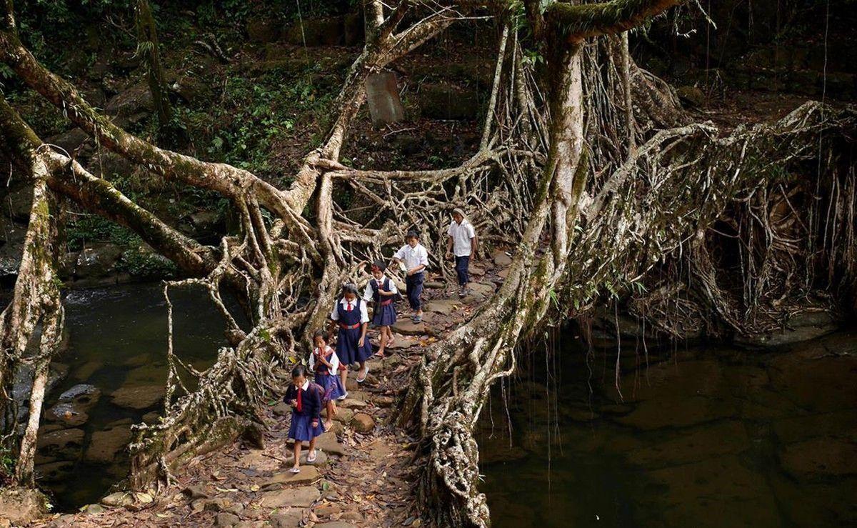 1200x739 Meghalaya: The Wettest Place on Earth