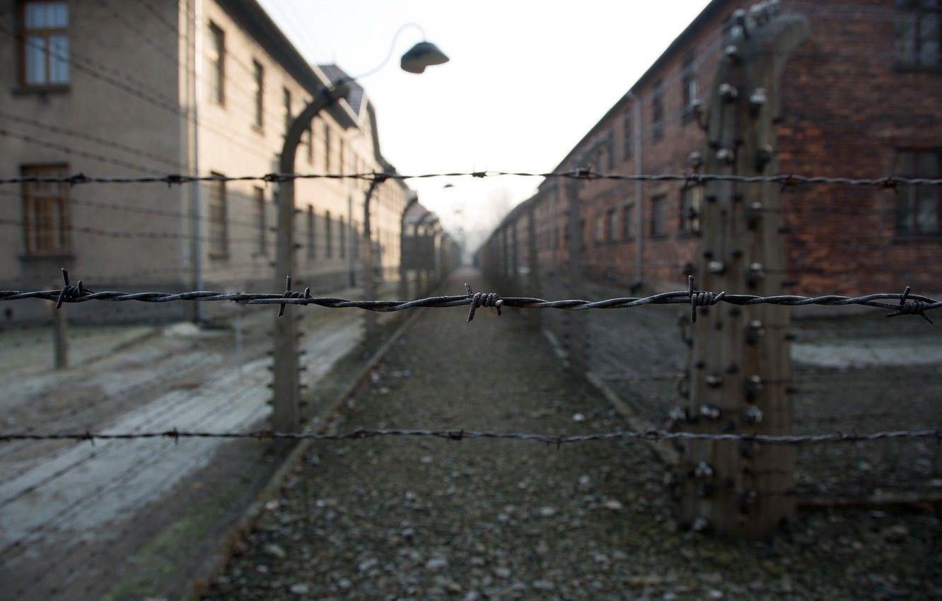 1332x850 Wallpaper freedom, death, Auschwitz, fascism image for desktop, section разное