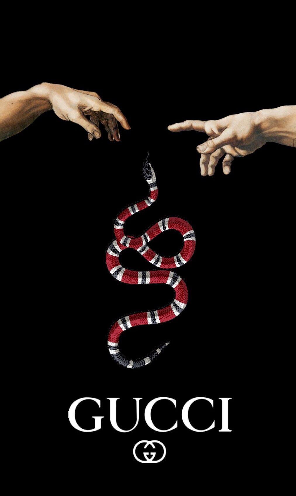 1013x1697 Gucci Tumblr Wallpaper