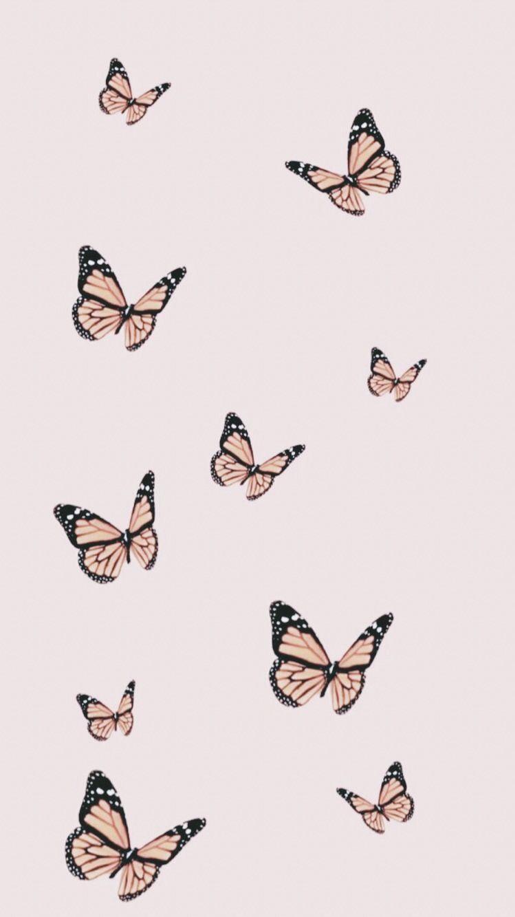 749x1333 Aesthetic Homescreen Tumblr Butterfly Wallpaper Aesthetic