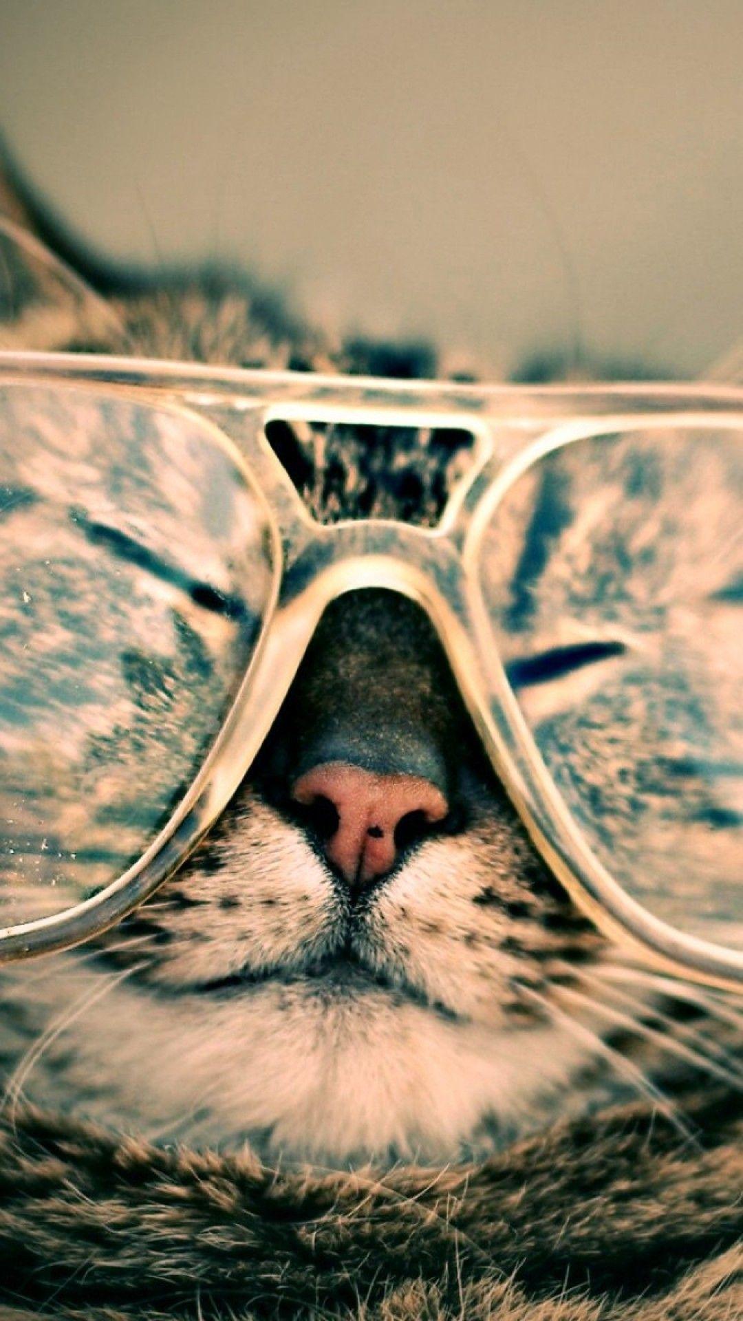 1080x1920 Cat With Glasses Wallpaper