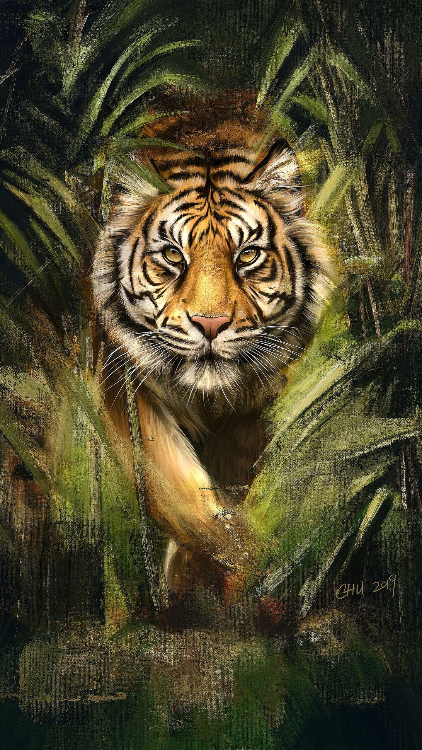 Tiger Animal Wallpapers - Top Free Tiger Animal Backgrounds -  WallpaperAccess
