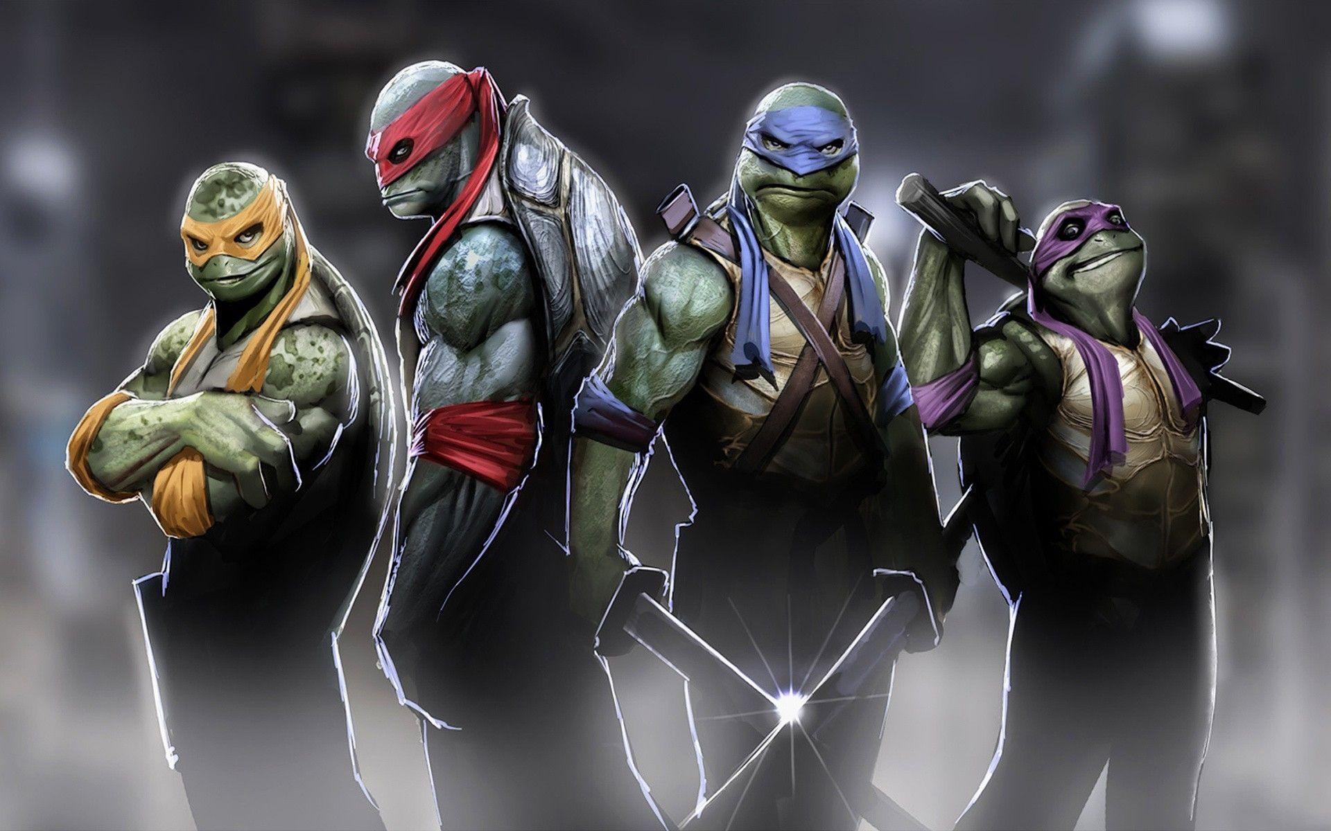 1920x1200 Download Wallpaper, Download 2560x1600 teenage mutant ninja turtles michelangelo donatello leonardo raphael 1920x1200 wallpaper Animals HD Wallpaper, Hi Res Animals Wallpaper, High Definition Wallpaper